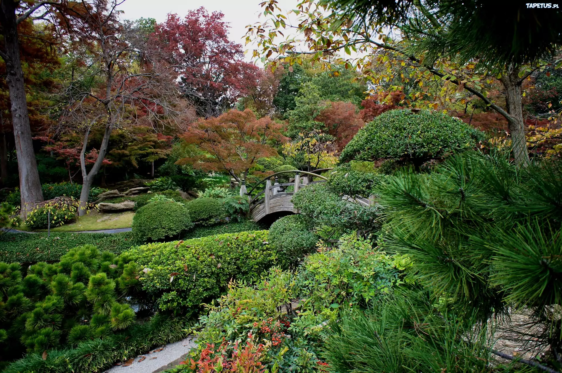 Park