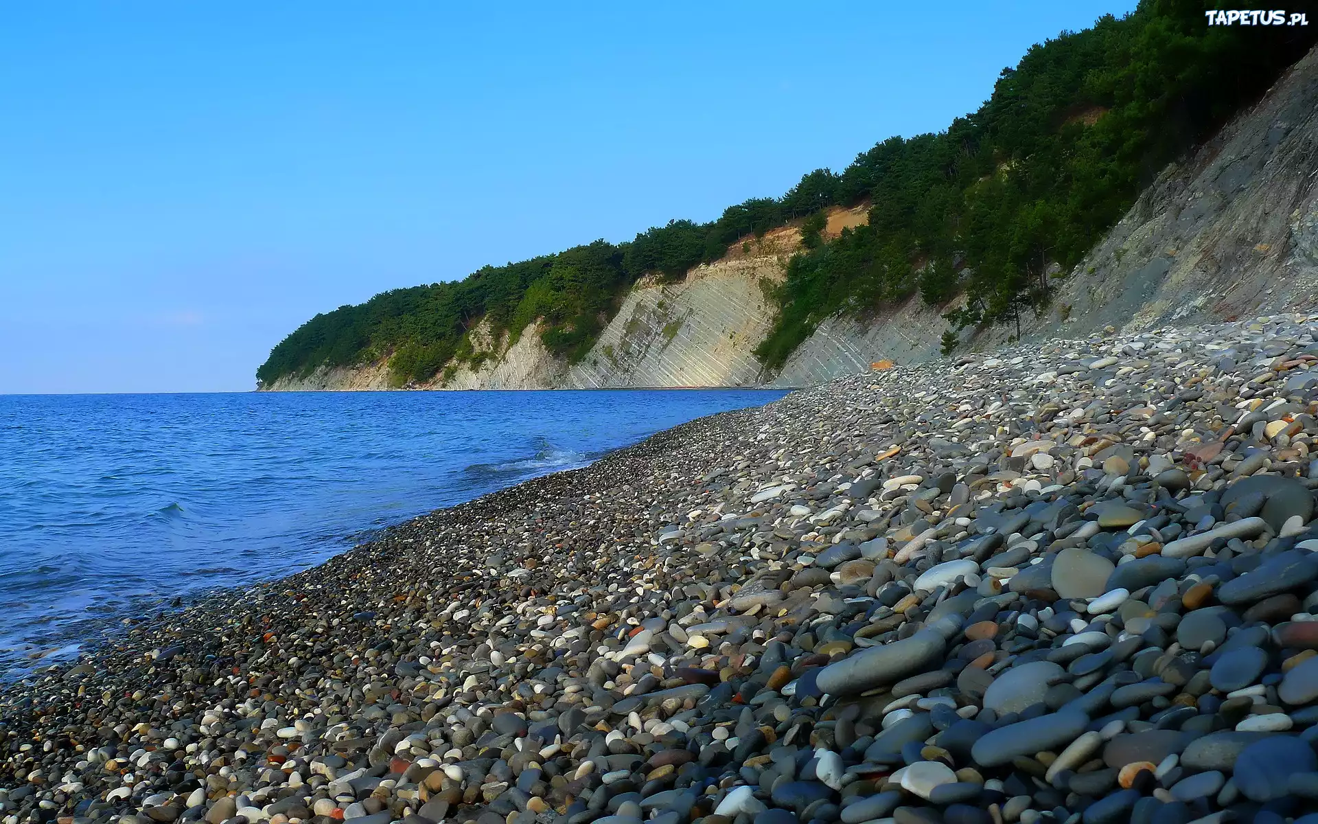 Morze, Kamienie, Plaża, Skały, Rośliny