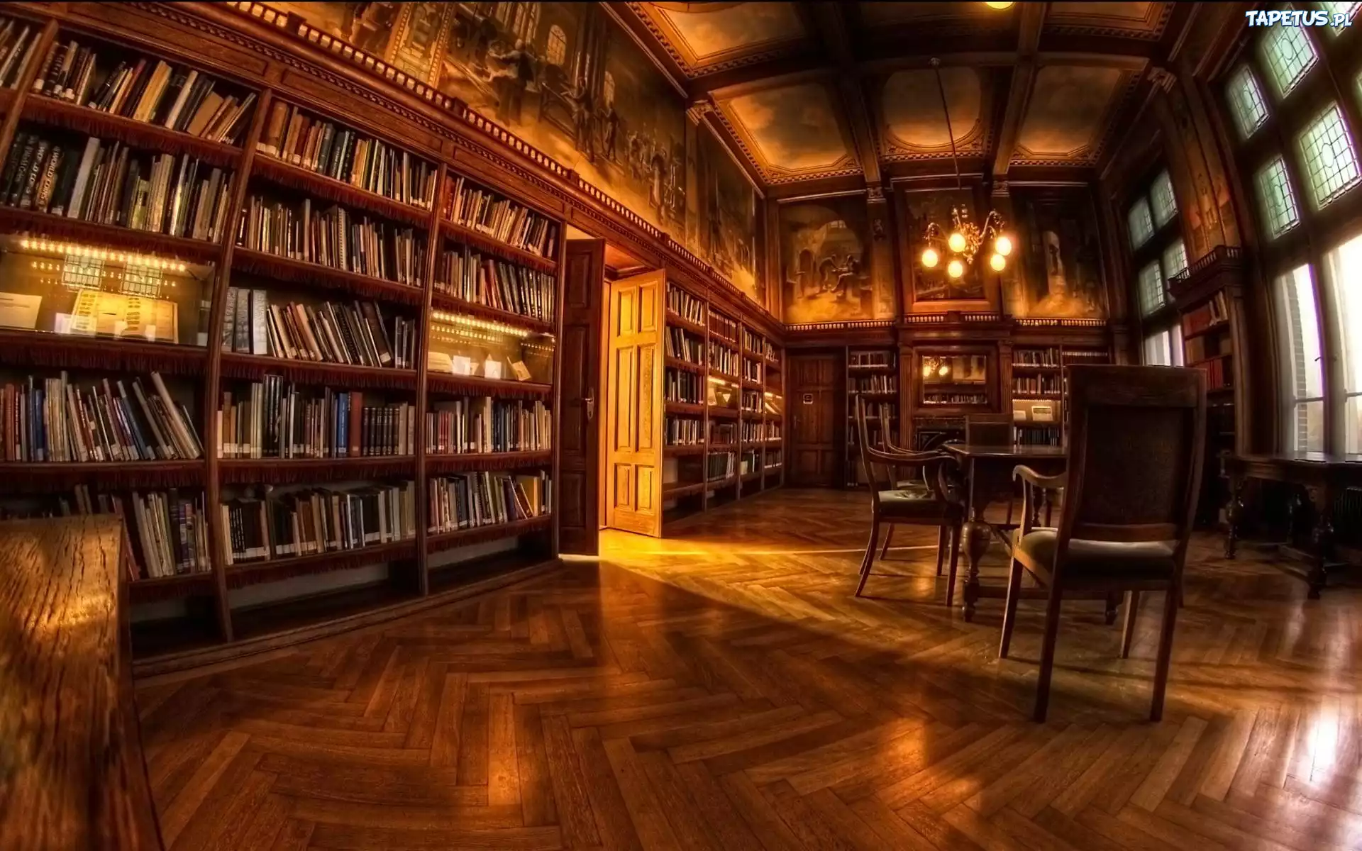 Biblioteka