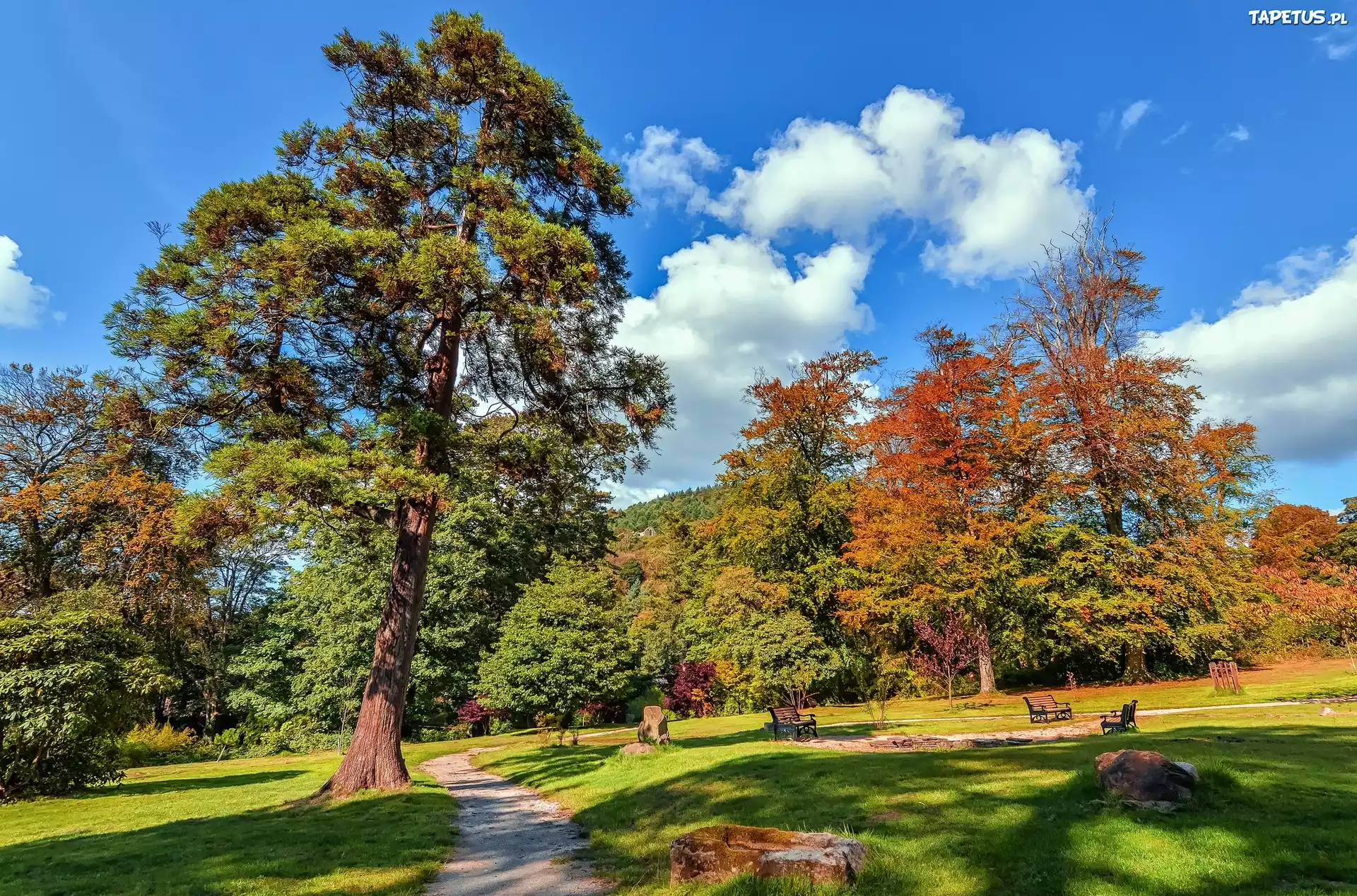 Jesień, Park, Drzewa, Ścieżka