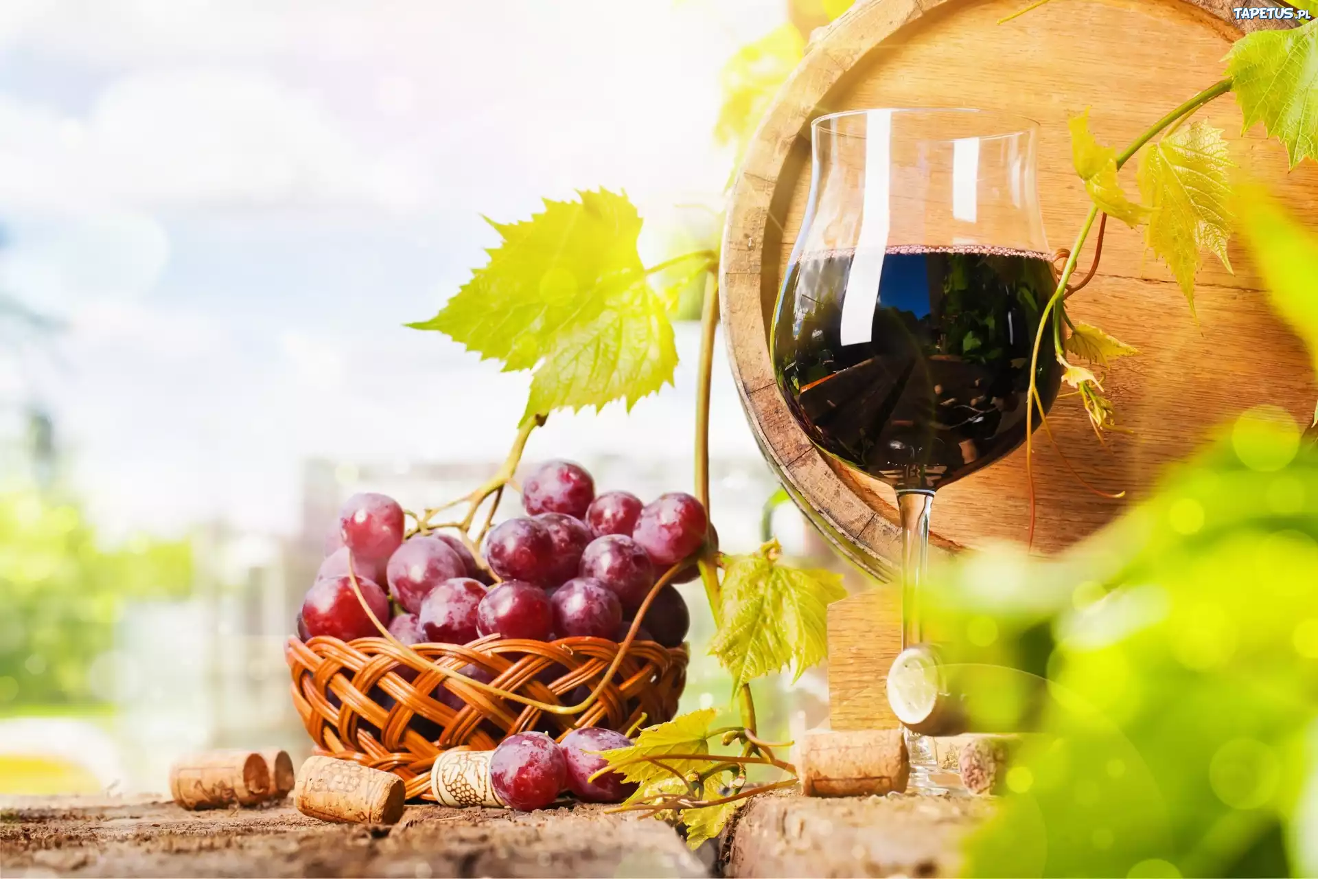 Winogrona, Kieliszek, Wino, Beczka, Zielone