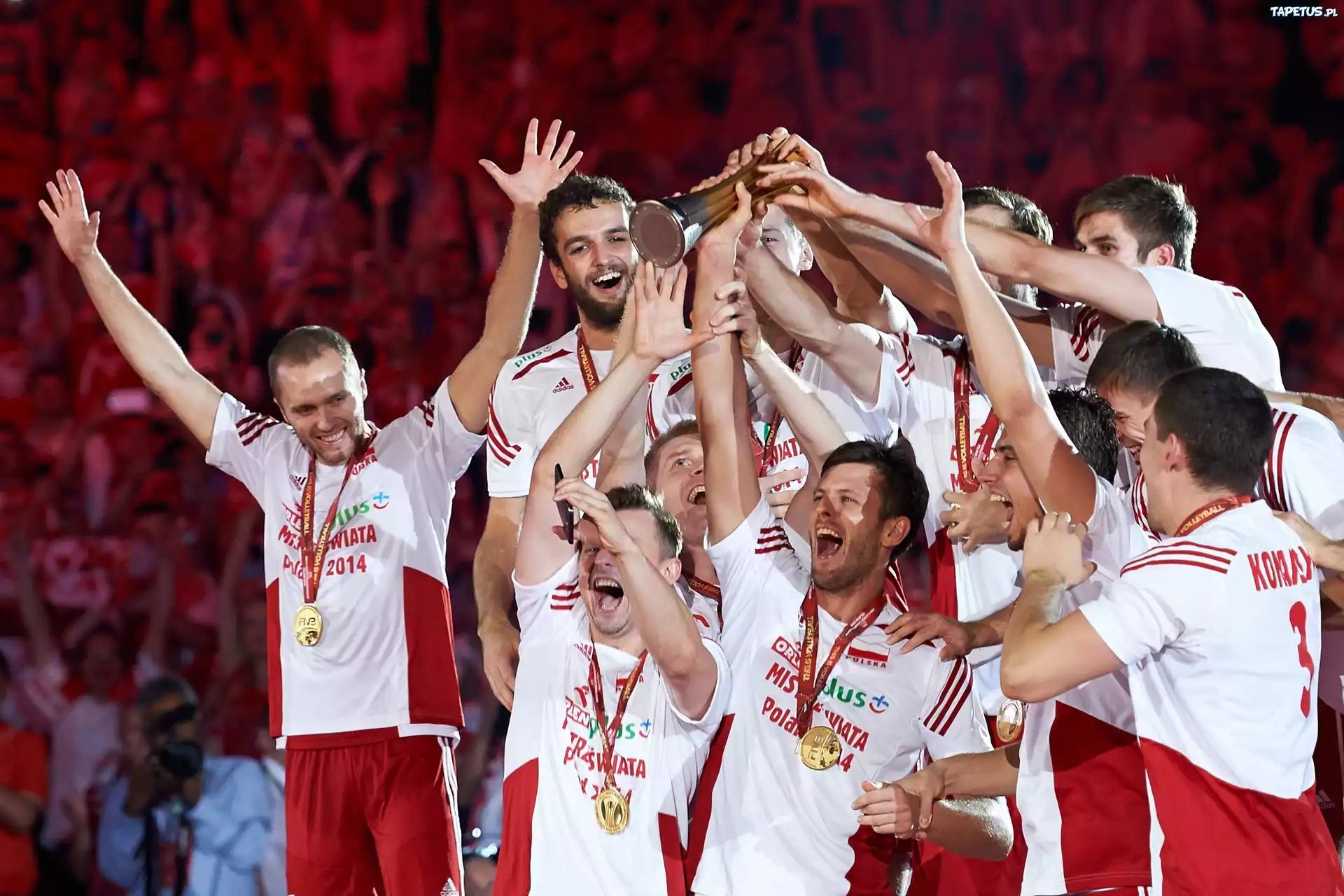 Siatkówka, Reprezentacja Polski, Mistrzowie Świata, 2014