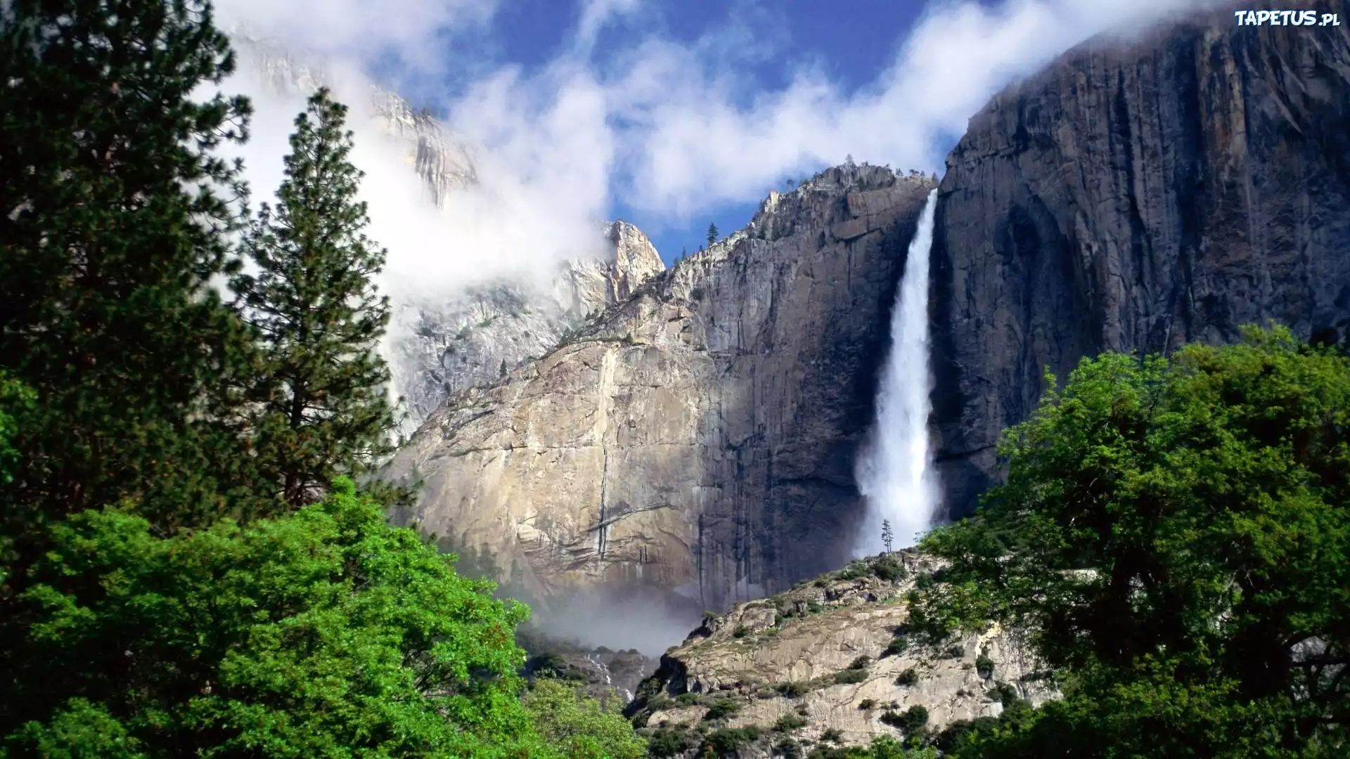 Wodospad, Drzewa, Yosemite, Kalifornia