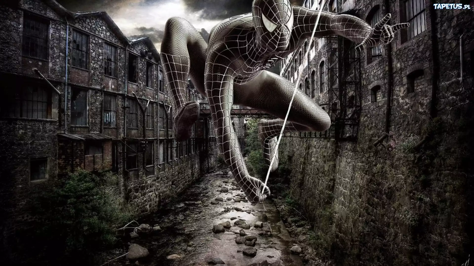 Spiderman