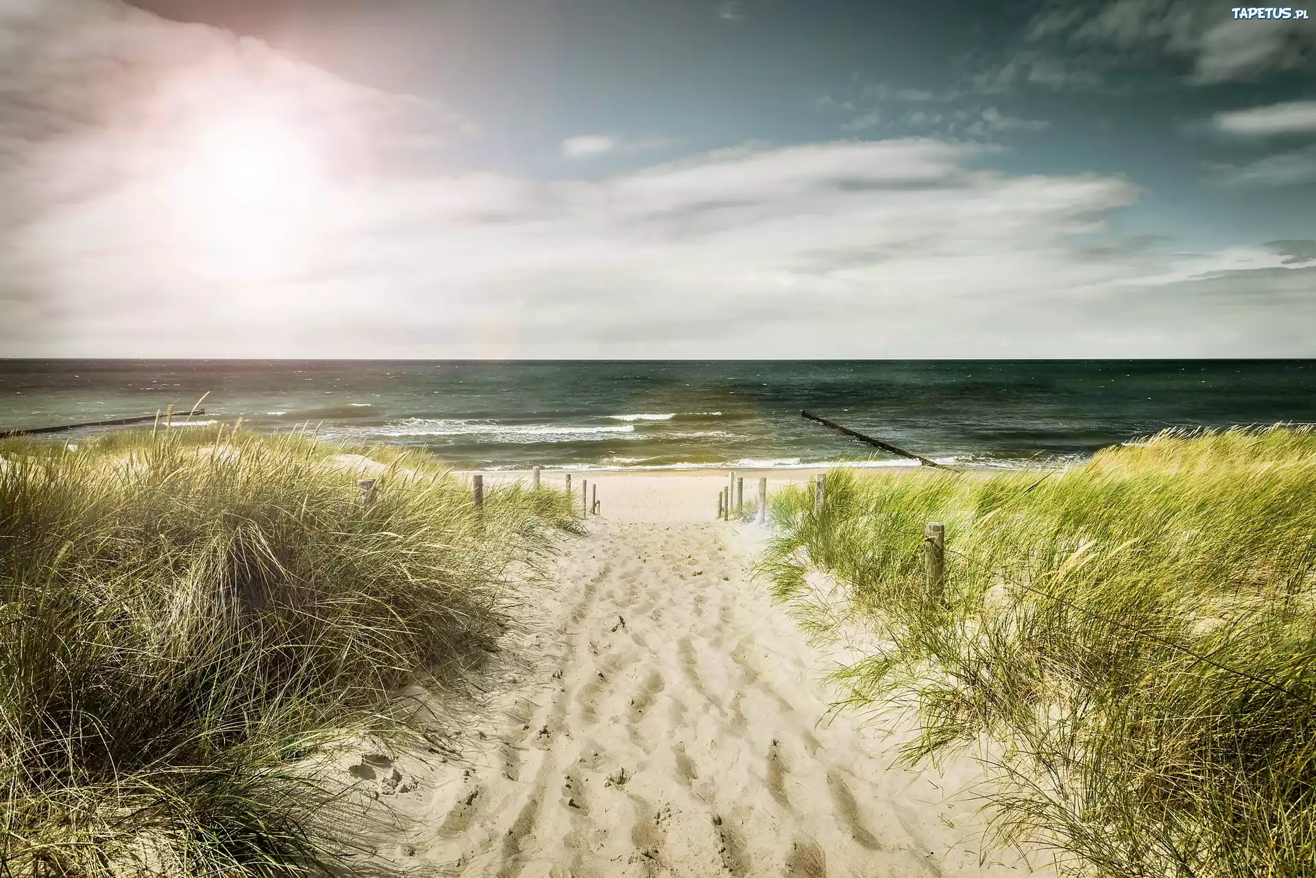 Morze, Plaża, Wydmy, Trawy