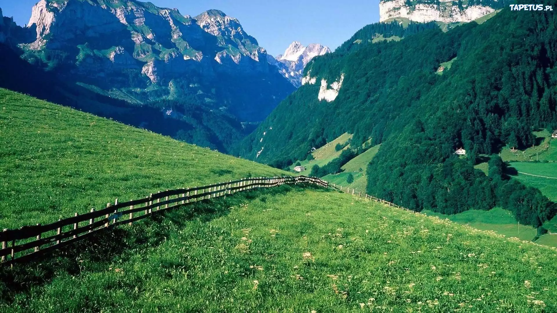 Góry, Las, Łąka, Ogrodzenie, Alpy, Szwajcaria