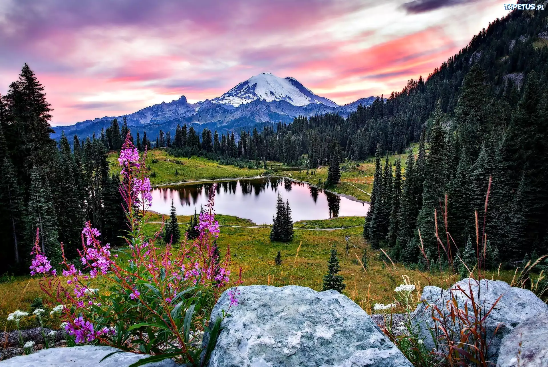 Park Narodowy Mount Rainier, Jezioro Tipsoo, Góry, Lasy, USA