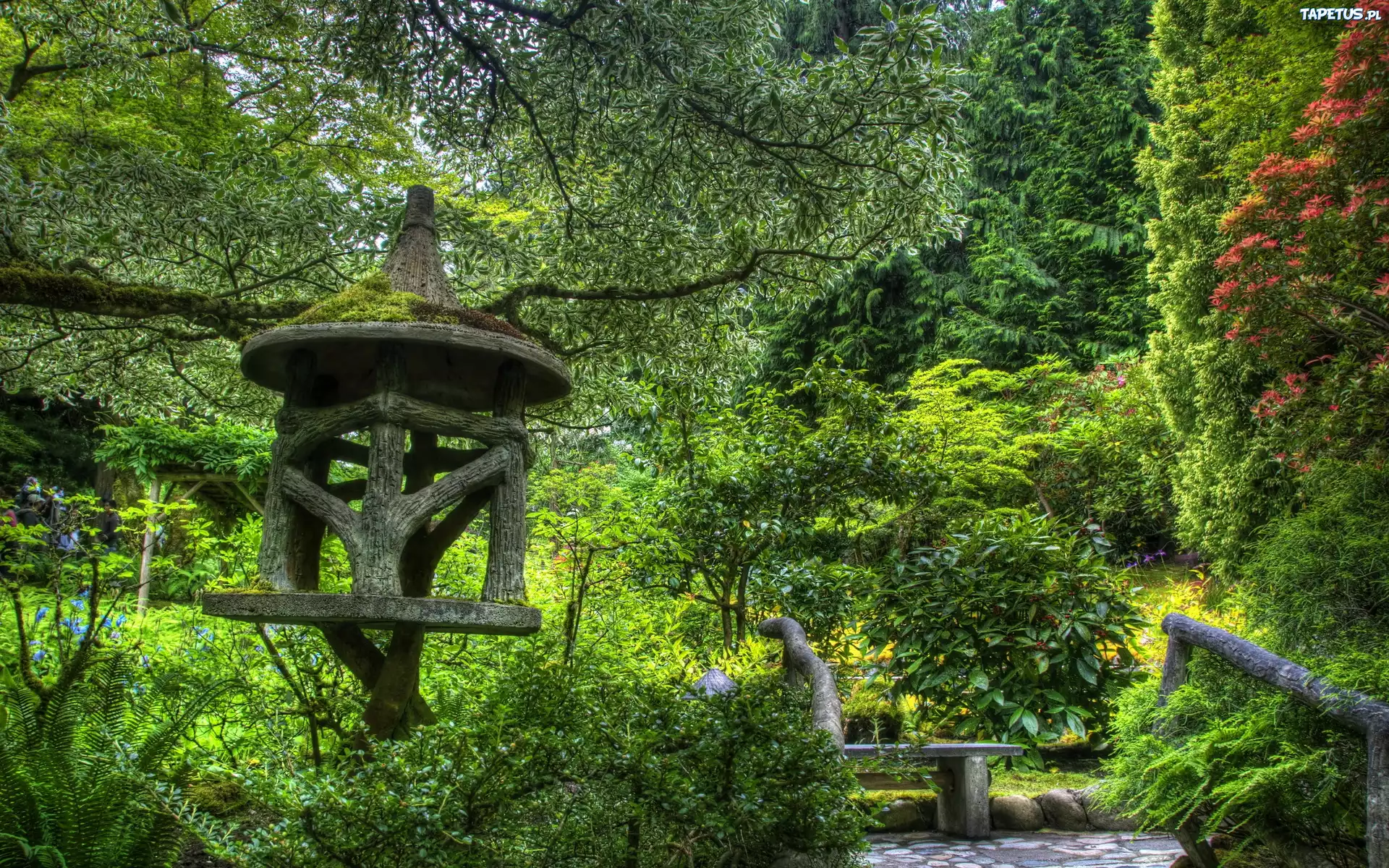 Park, Ławka, Karmnik