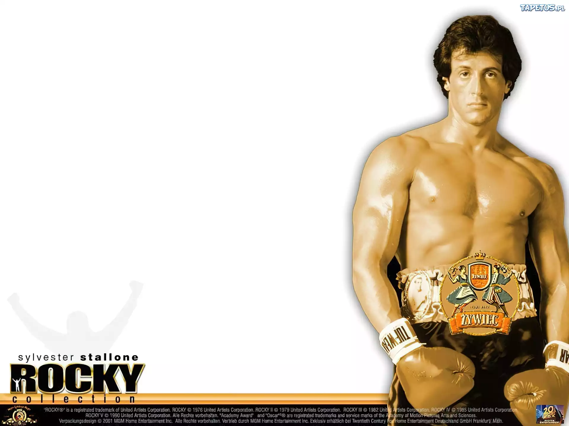 Piwo, Piwo Żywiec, sylvester stallone