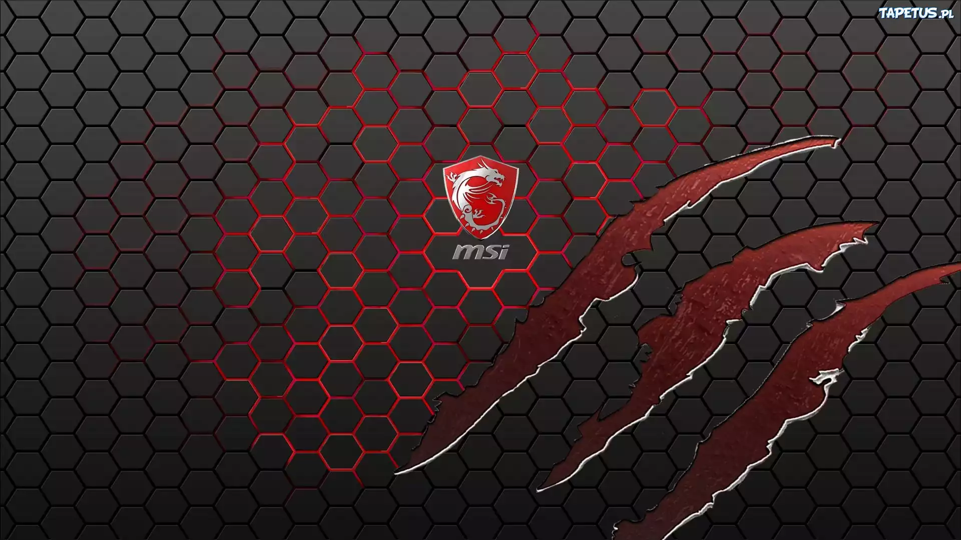 MSI