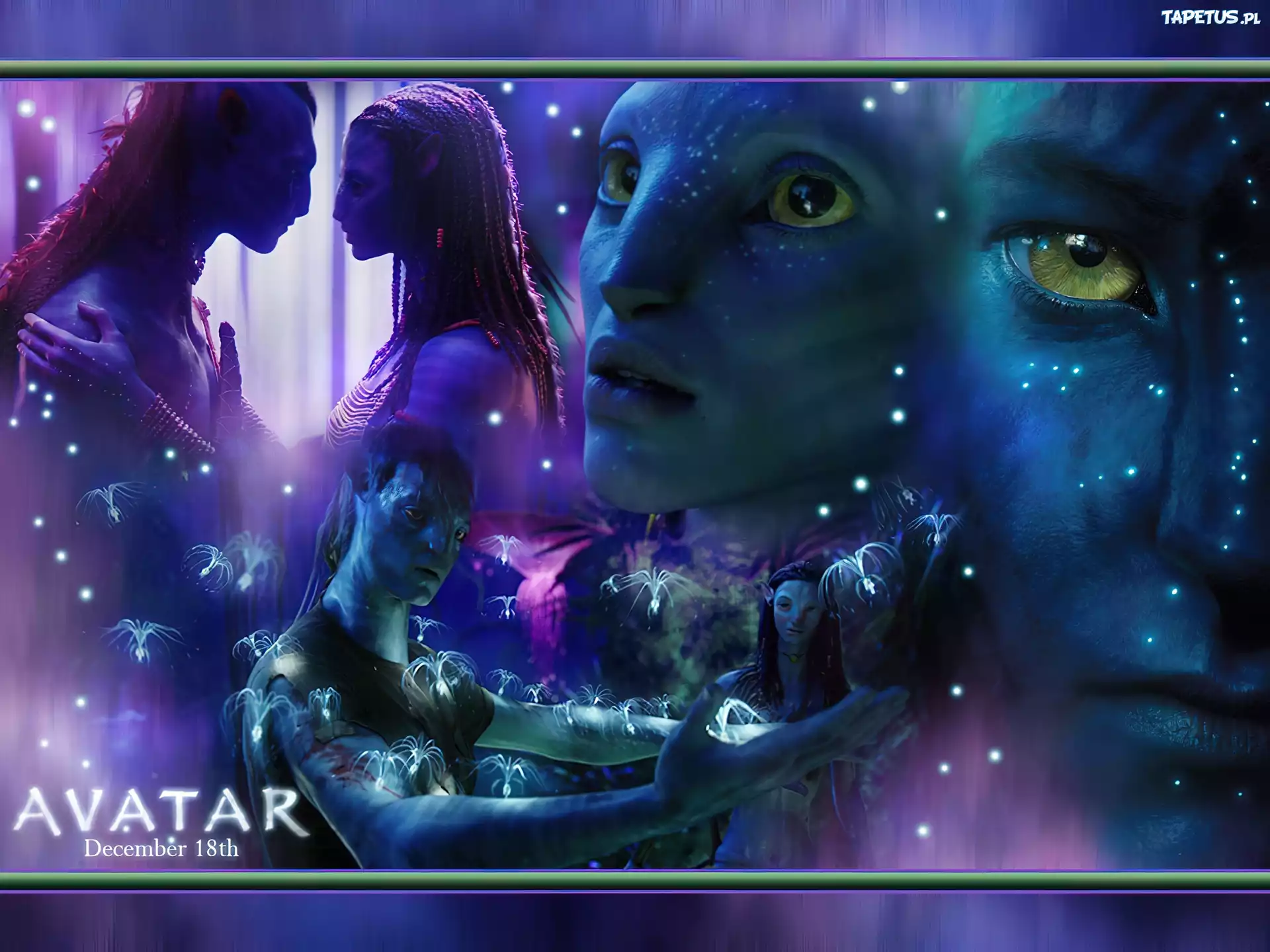 Avatar