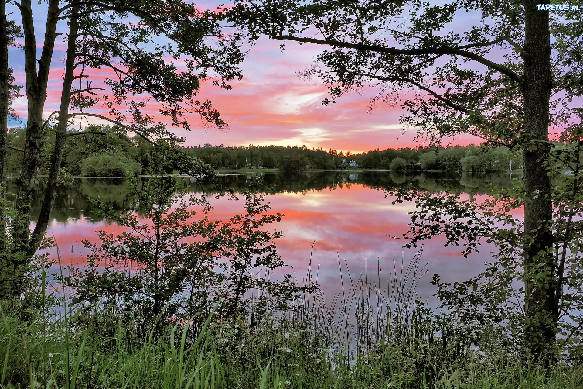 Jezioro, Las, Świt, Nacka, Szwecja