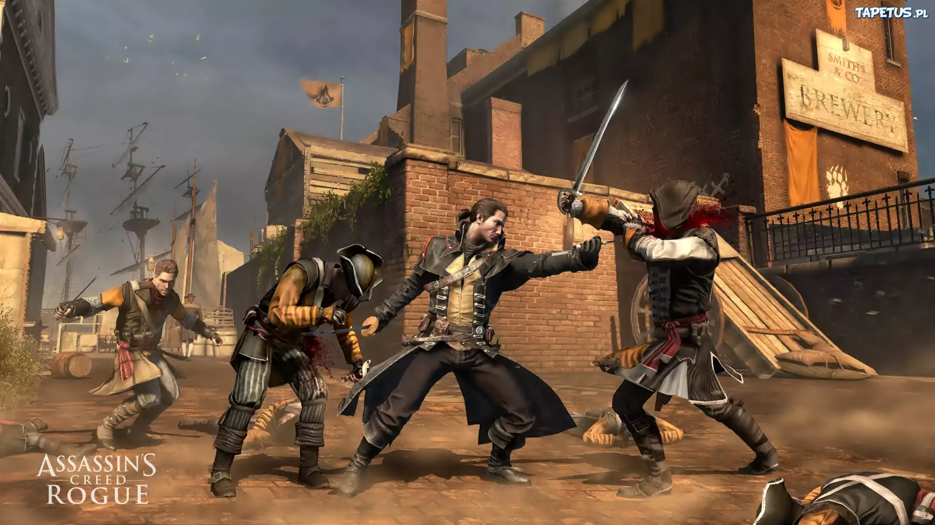 Assassins Creed, Rogue
