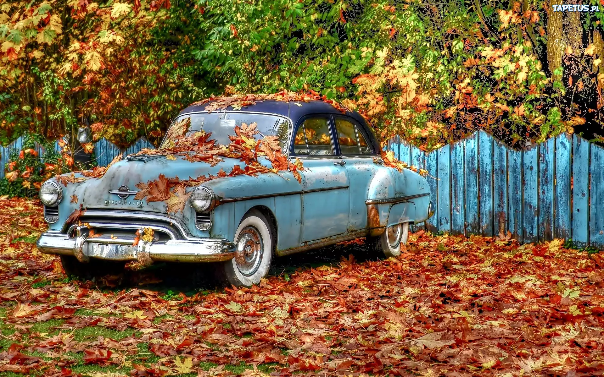 Samochód, Zabytkowy, Oldsmobile, Jesień, Liście, Ogrodzenie, Drzewa