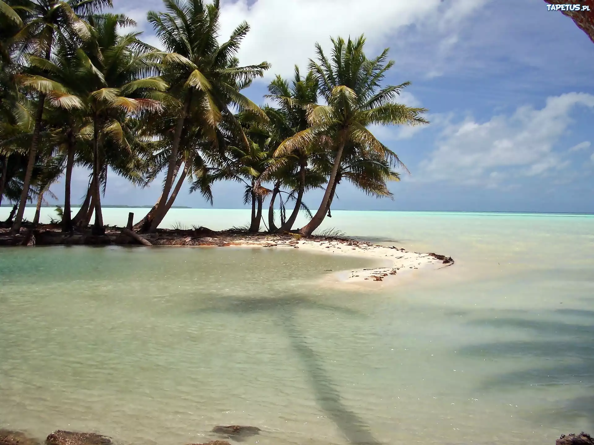 Morze, Laguna, Palmy, Kiribati