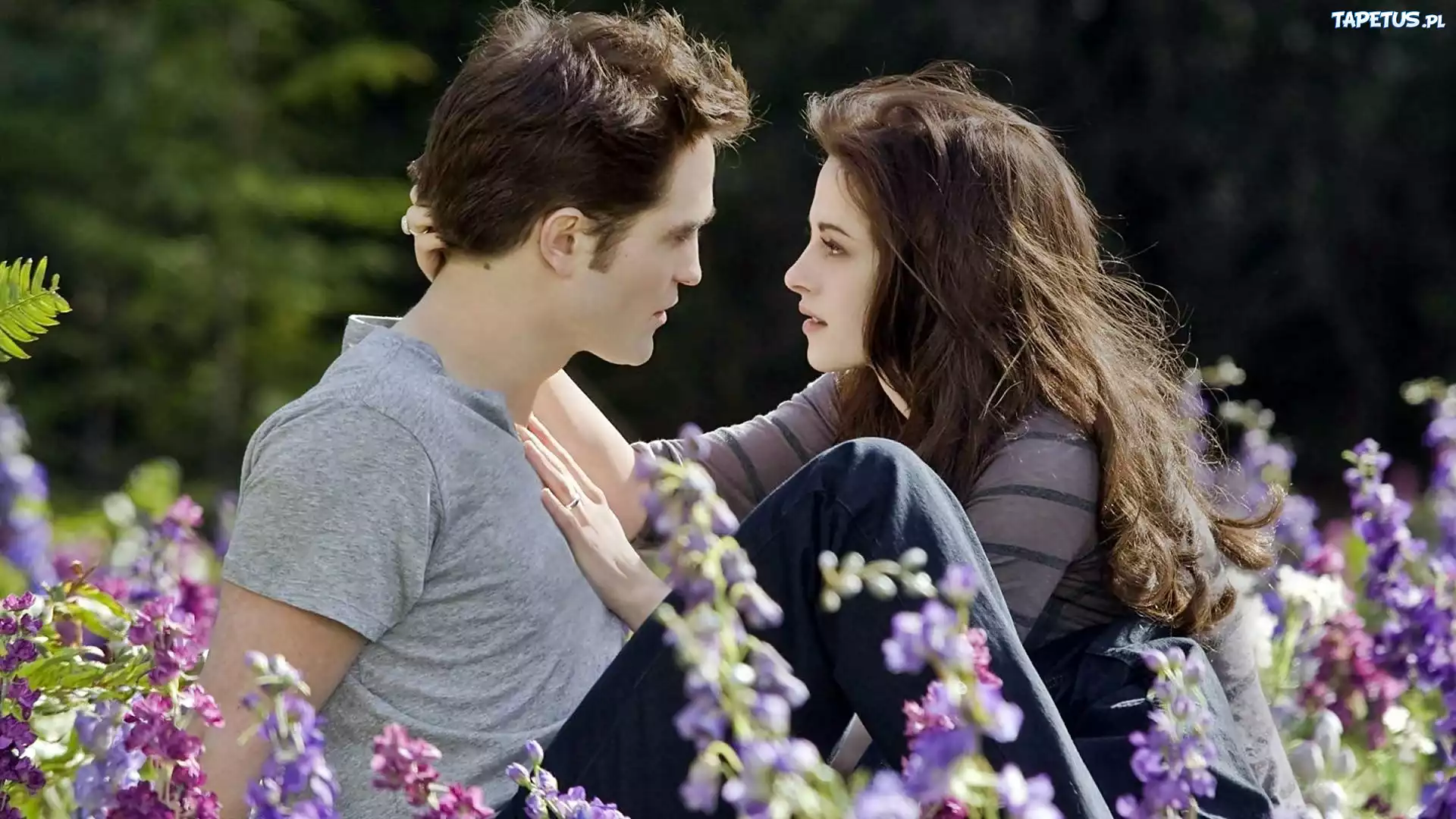 Łąka, Kwiaty, Robert Pattinson, Kristen Stewart