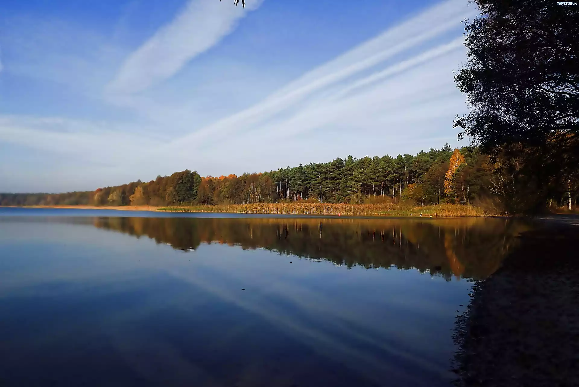 Jesień, Jezioro, Odbicie, Las