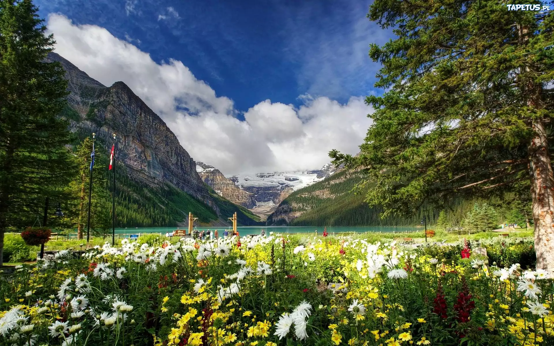 Góry, Jezioro, Łąka, Banff, Kanada