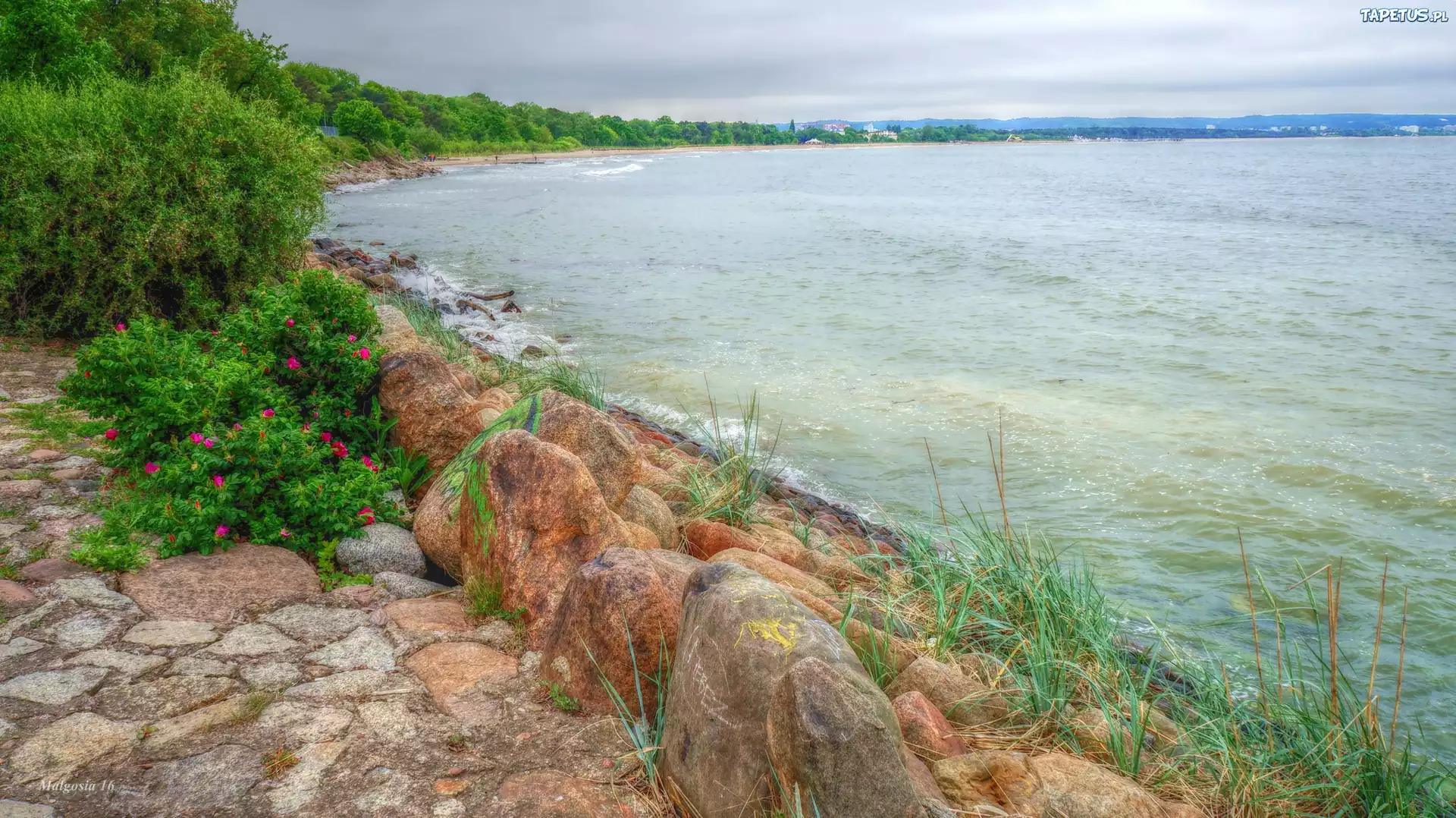 Morze, Bałtyk, Woda, Wybrzeże, Kamienie, Rośliny, HDR