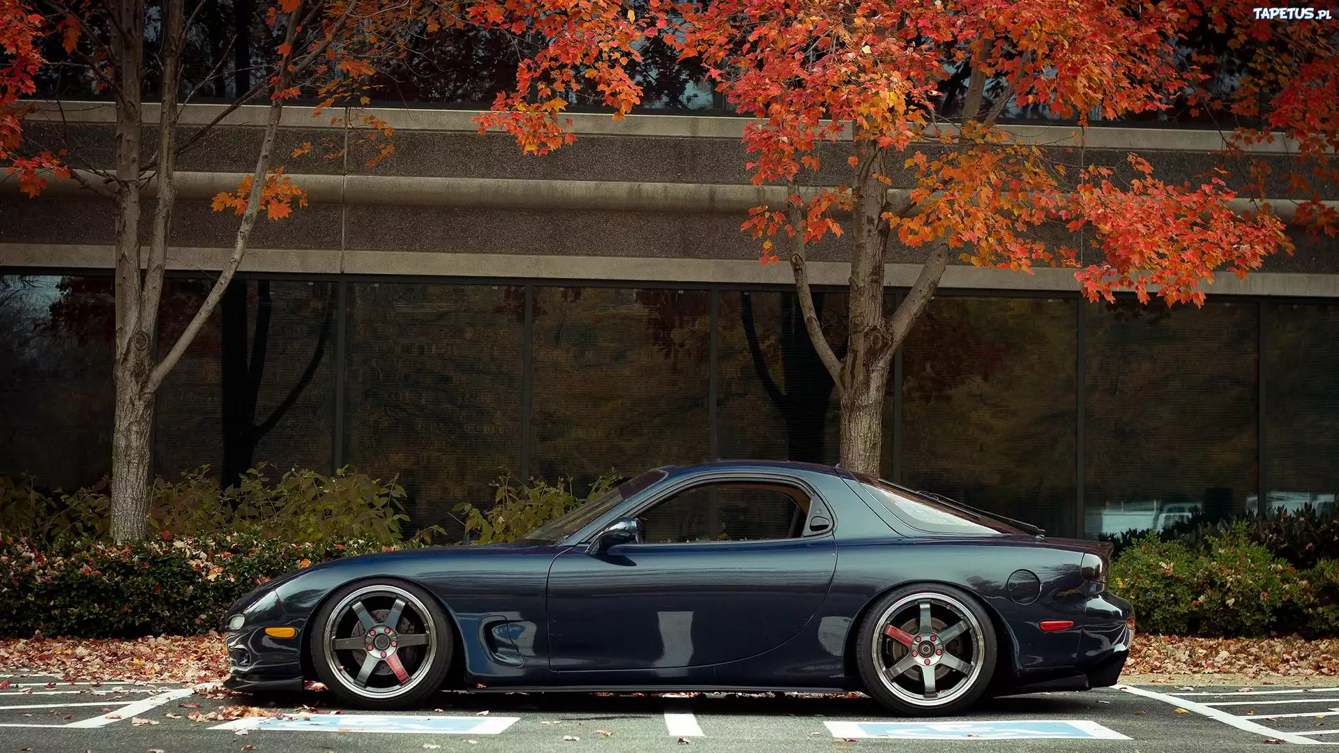 Mazda, RX-7, Parking, Drzewa