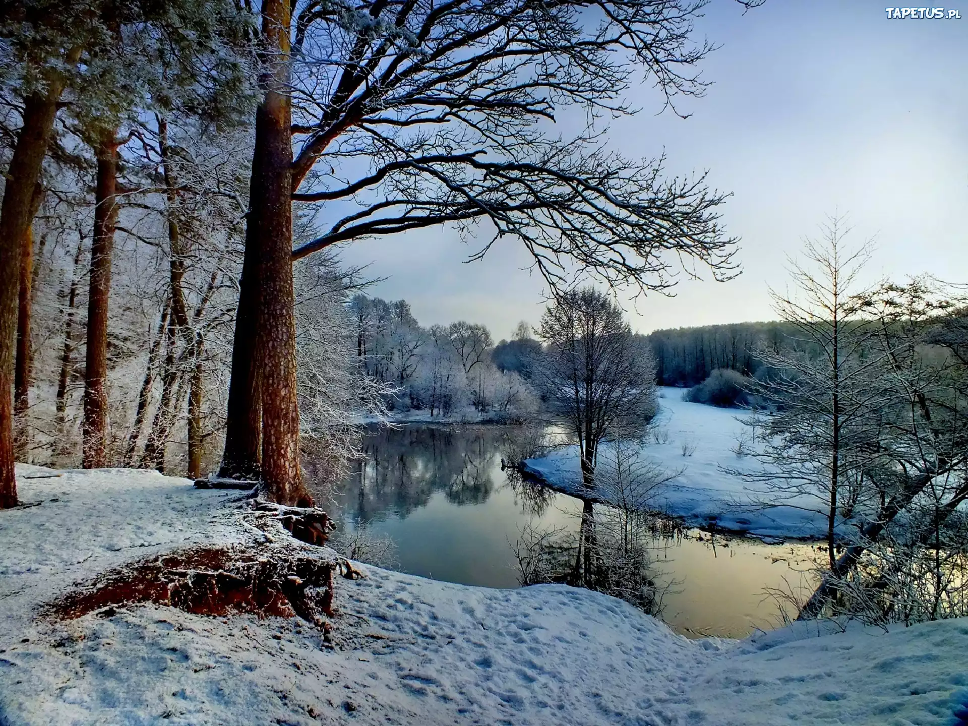 Rzeka, Drzewa, Śnieg