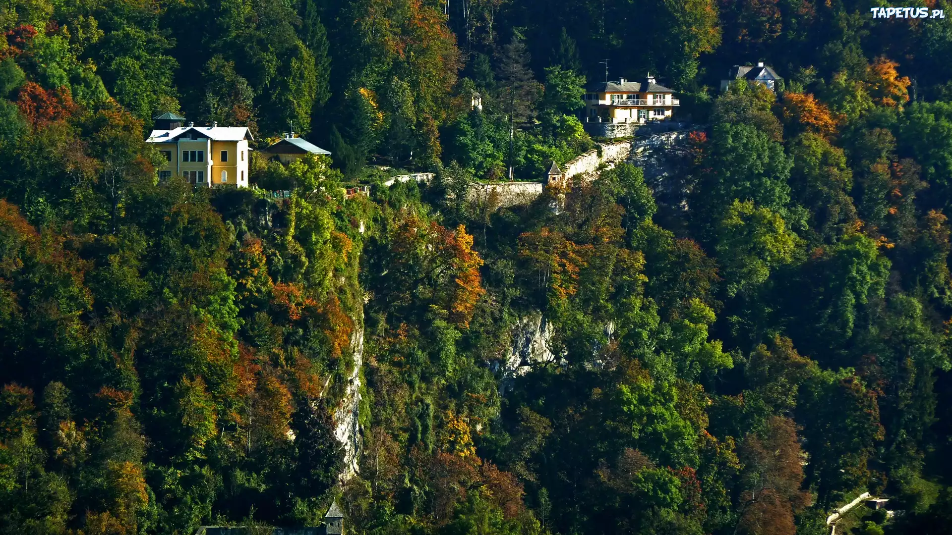 Domy, Lasy, Salzburg, Austria