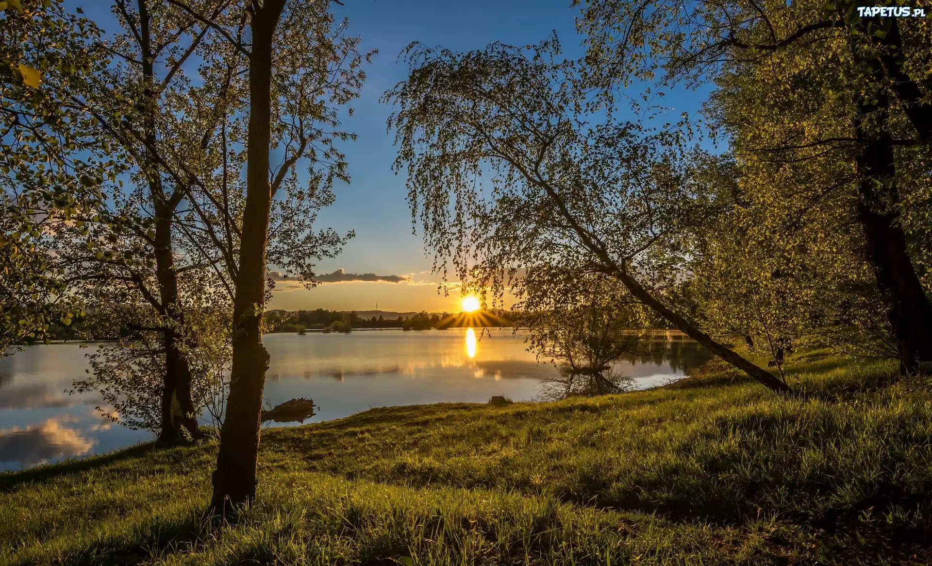 Jezioro, Drzewa. Wschód, Słońca