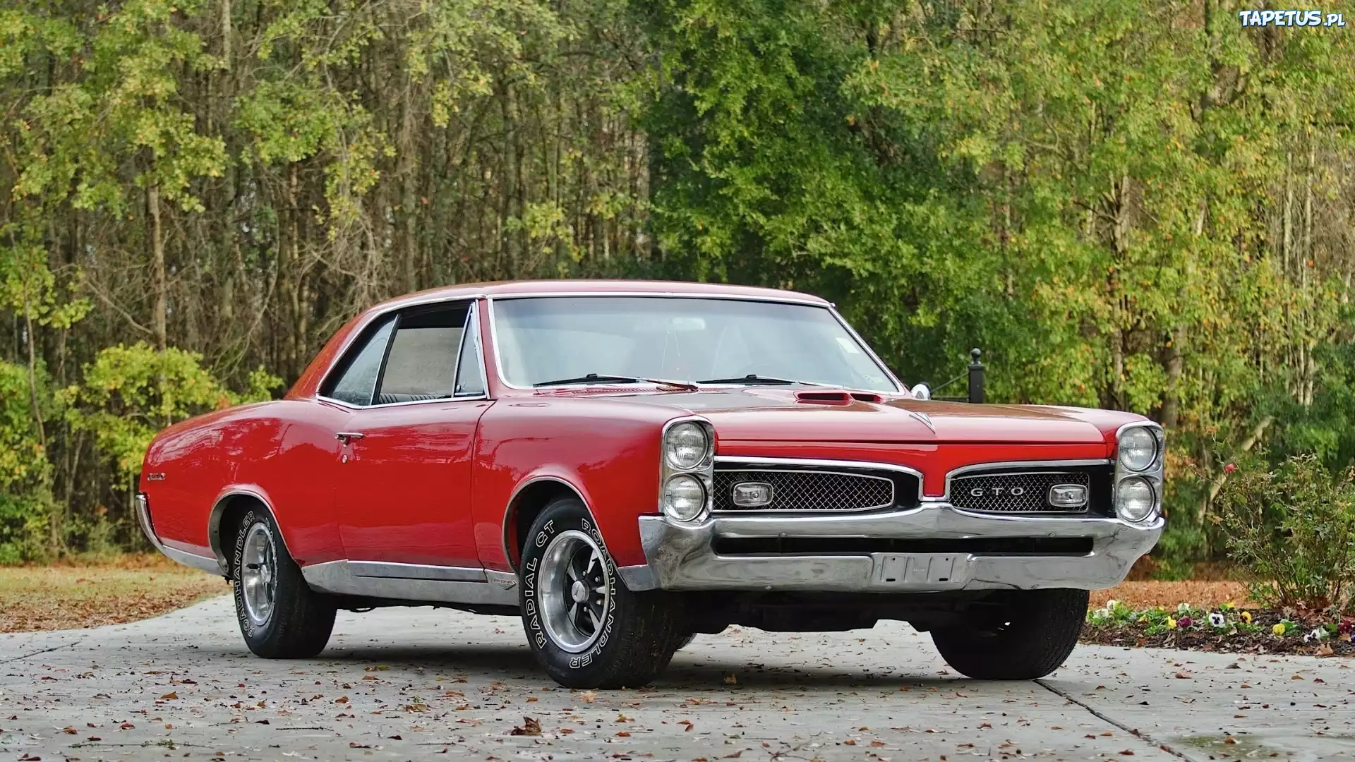 Pontiac, Samochód, Czerwony, GTO, 1967, Zabytek