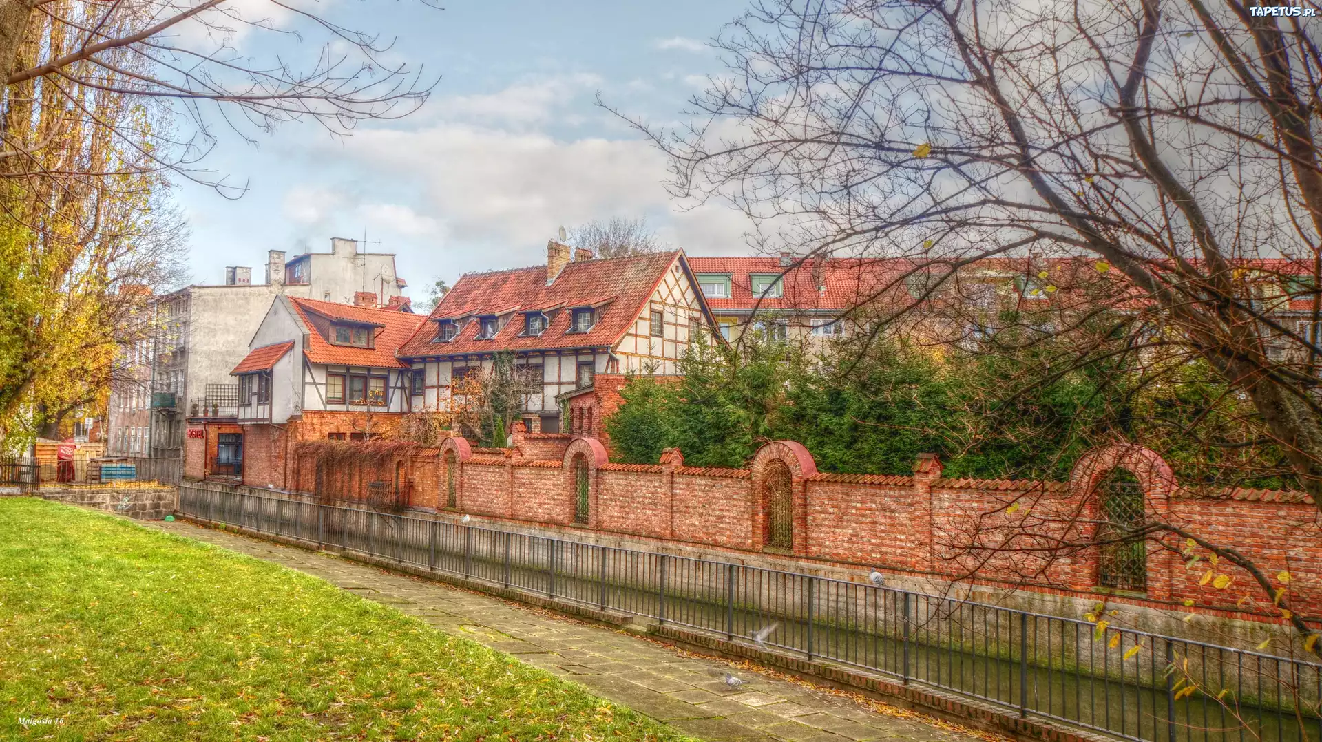 Miasto, Domy, Budynki, Drzewa, HDR