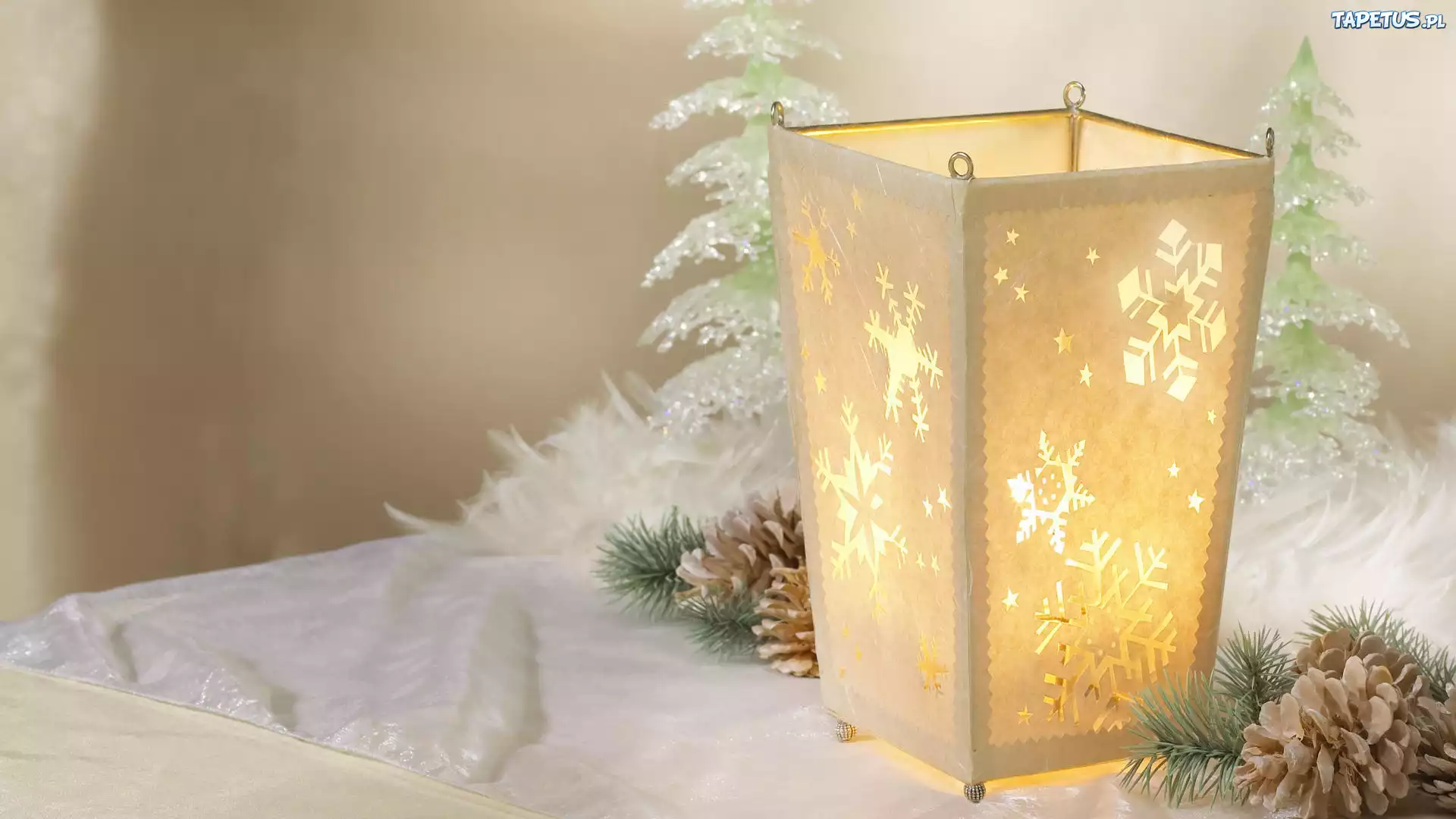 Świąteczna, Dekoracja, Lampion, Szyszki