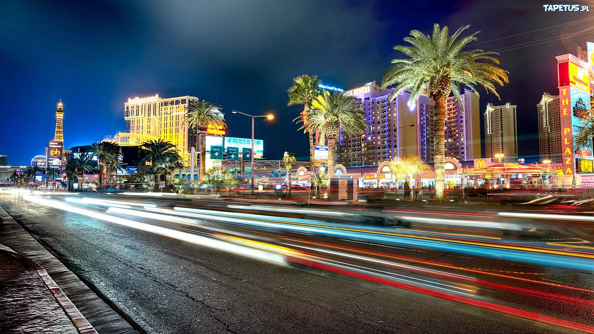 Las, Vegas, Panorama, Miasta, Nocą, Arterie, Palmy