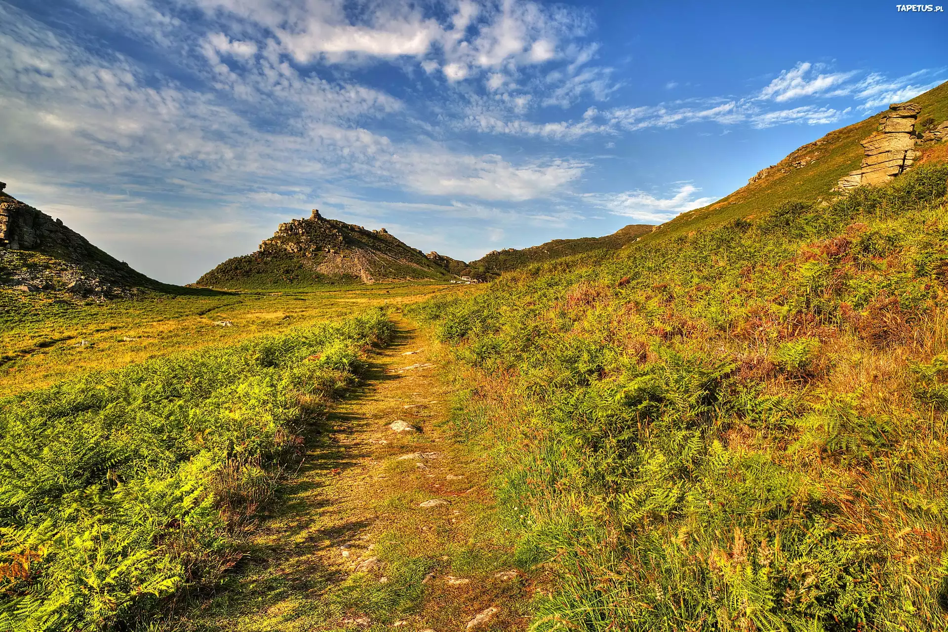 Ścieżka, Góra, Exmoor National Park, Wielka Brytania