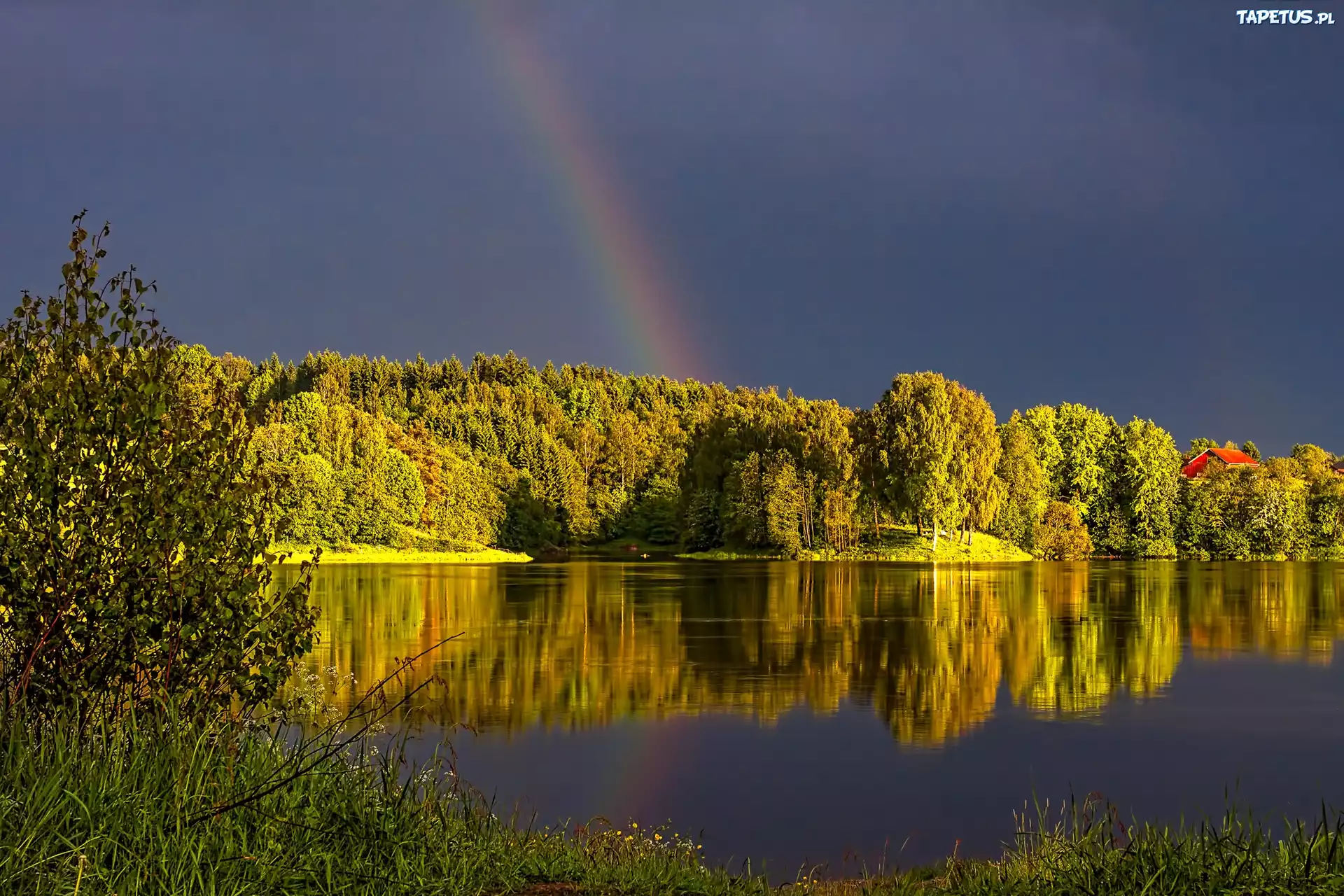 Jezioro, Las, Tęcza