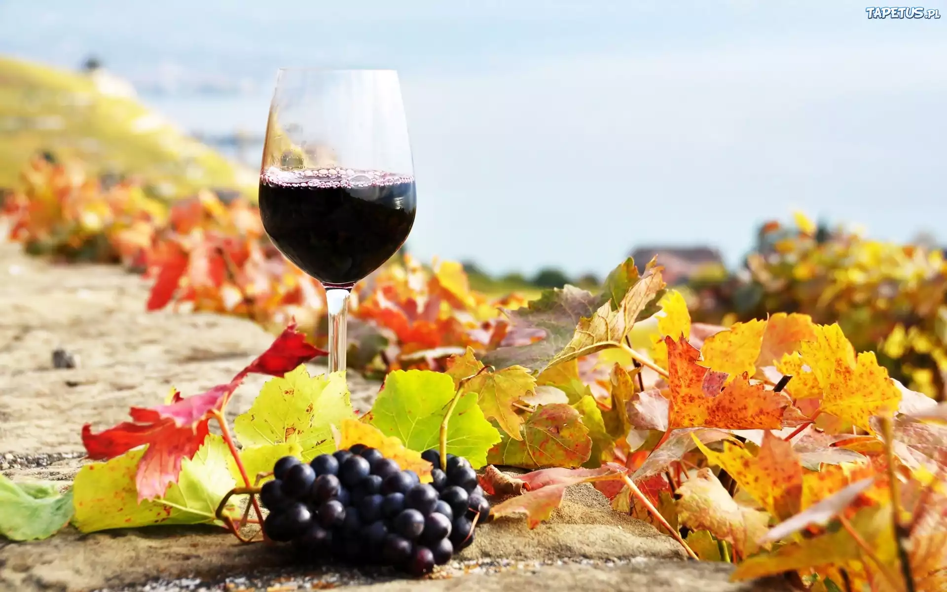 Licie, Winogrona, Kieliszek, Wino