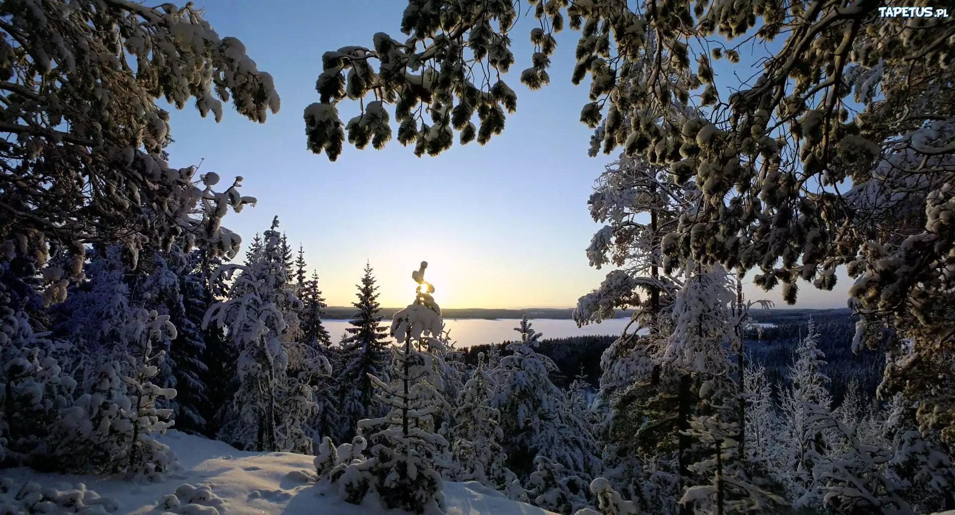 Zima, Drzewa, Śnieg, Jezioro