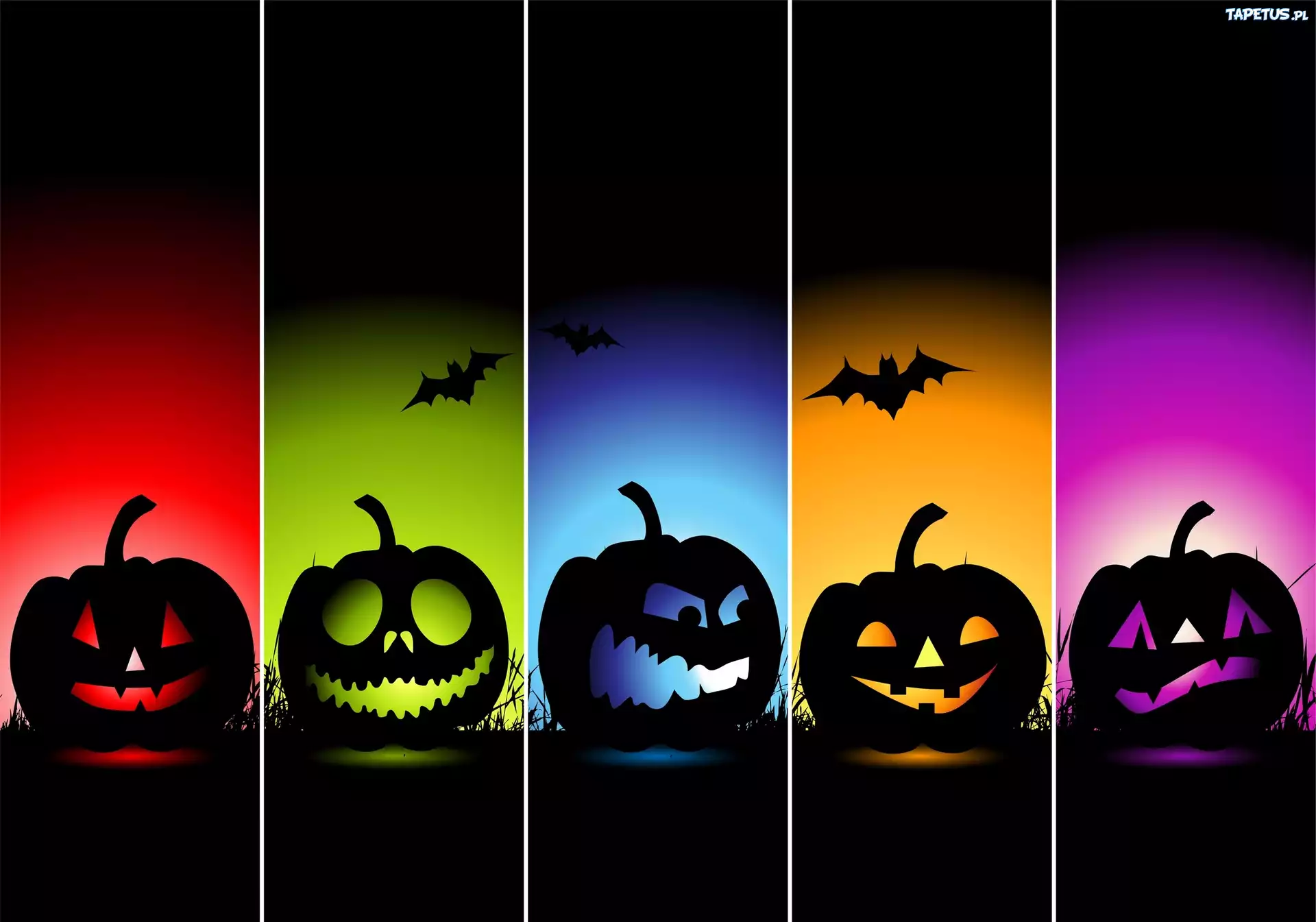 Kolorowe, Dynie, Halloween