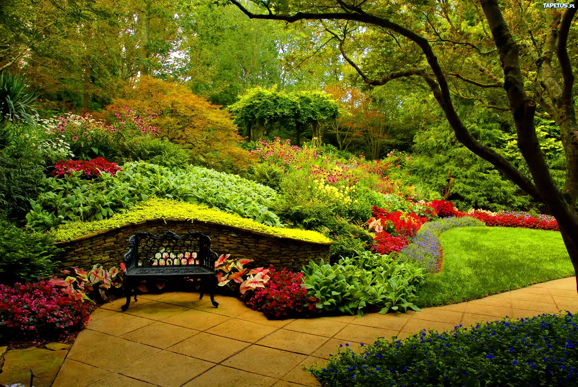 Park, Roślinność, Ławeczka, Kwiaty, Drzewa, Krzewy