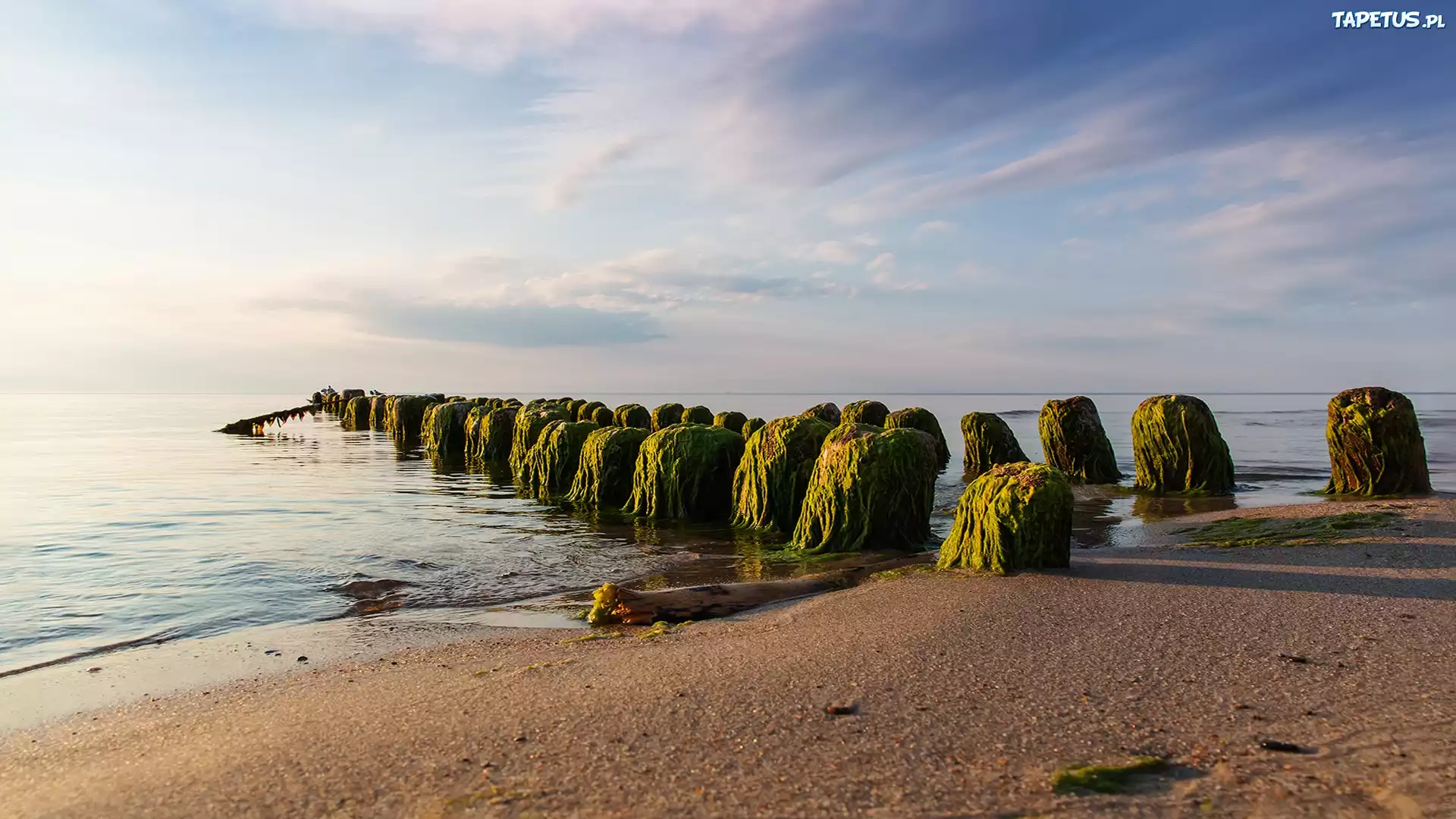 Зеленоградск любуйтесь морем