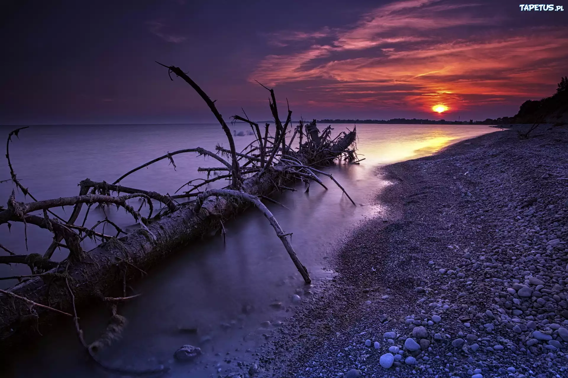 природа море деревья камни вечер nature sea trees stones evening загрузить