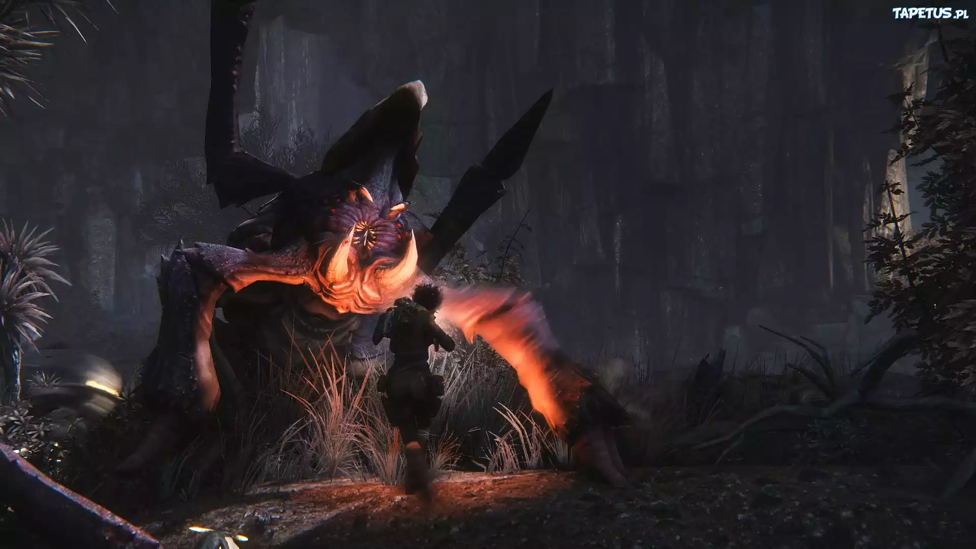 Evolve, Potwór