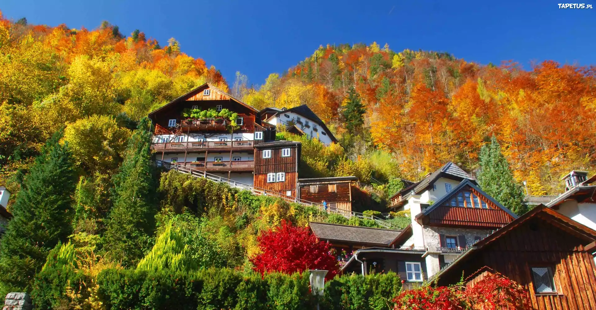 Miasteczko Hallstatt, Domy, Góra, Jesień, Austria