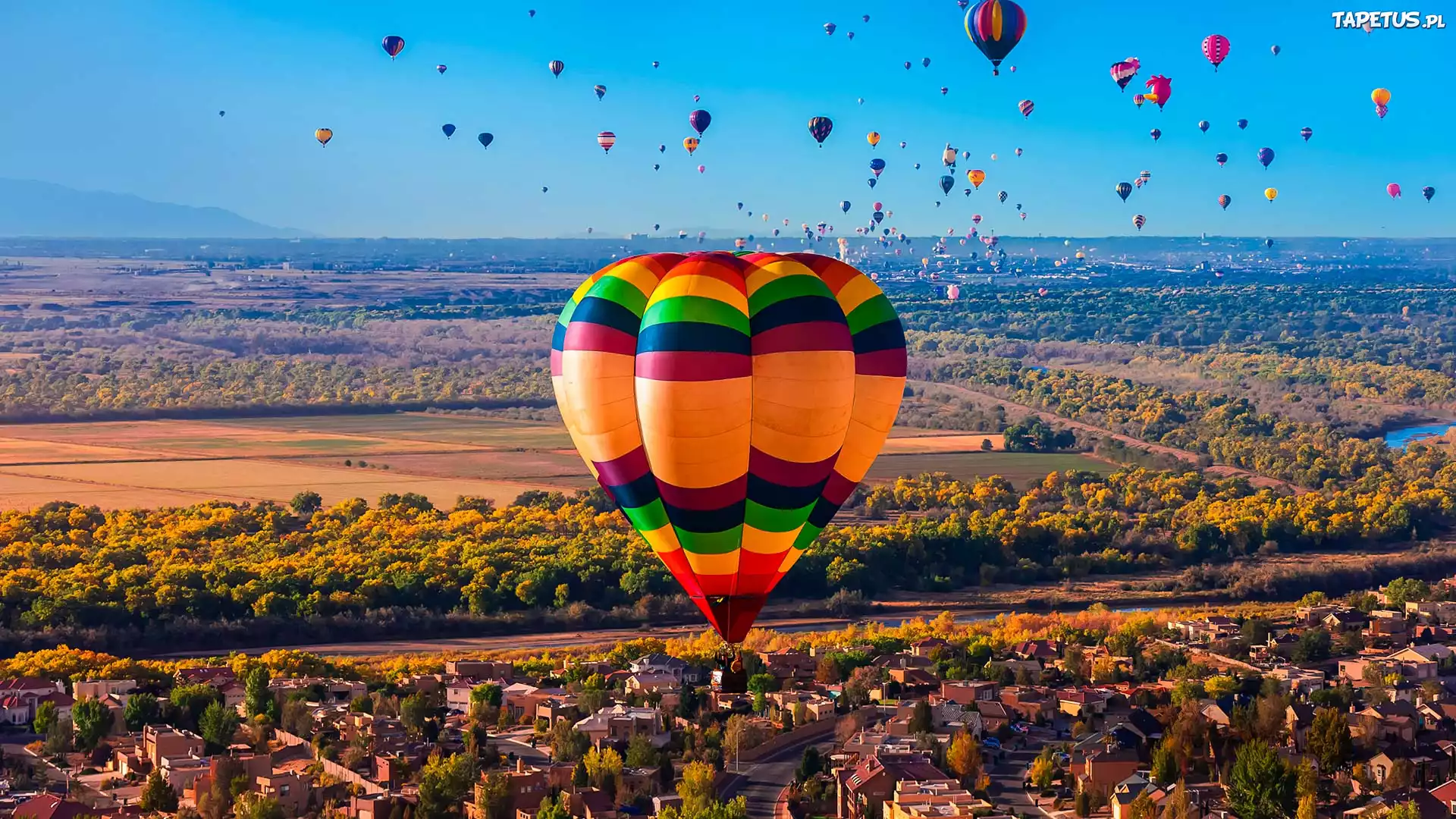 Balony, Kolorowe, Niebo, Niebieskie, Domy
