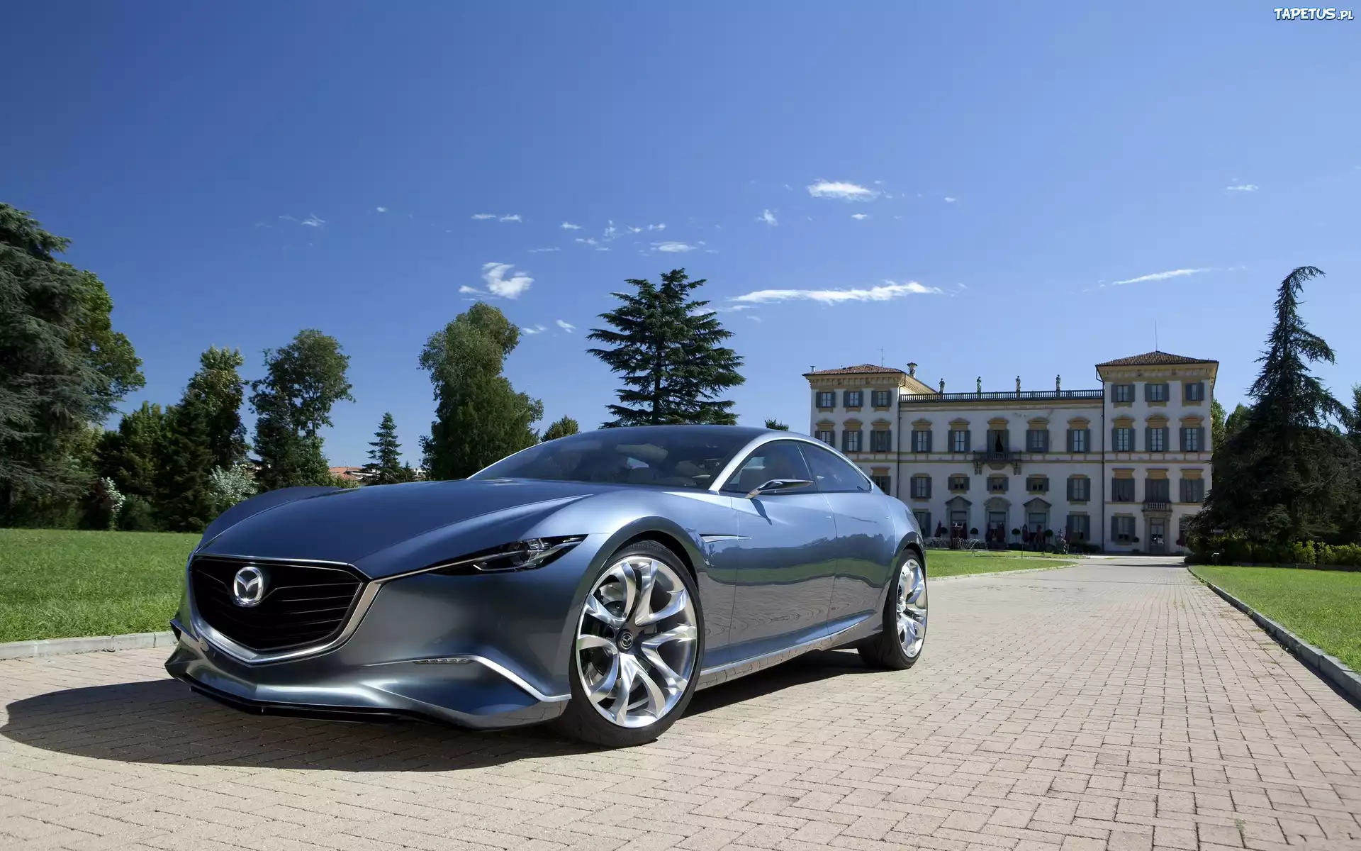 Mazda, Shinari, Pałacyk, Drzewa