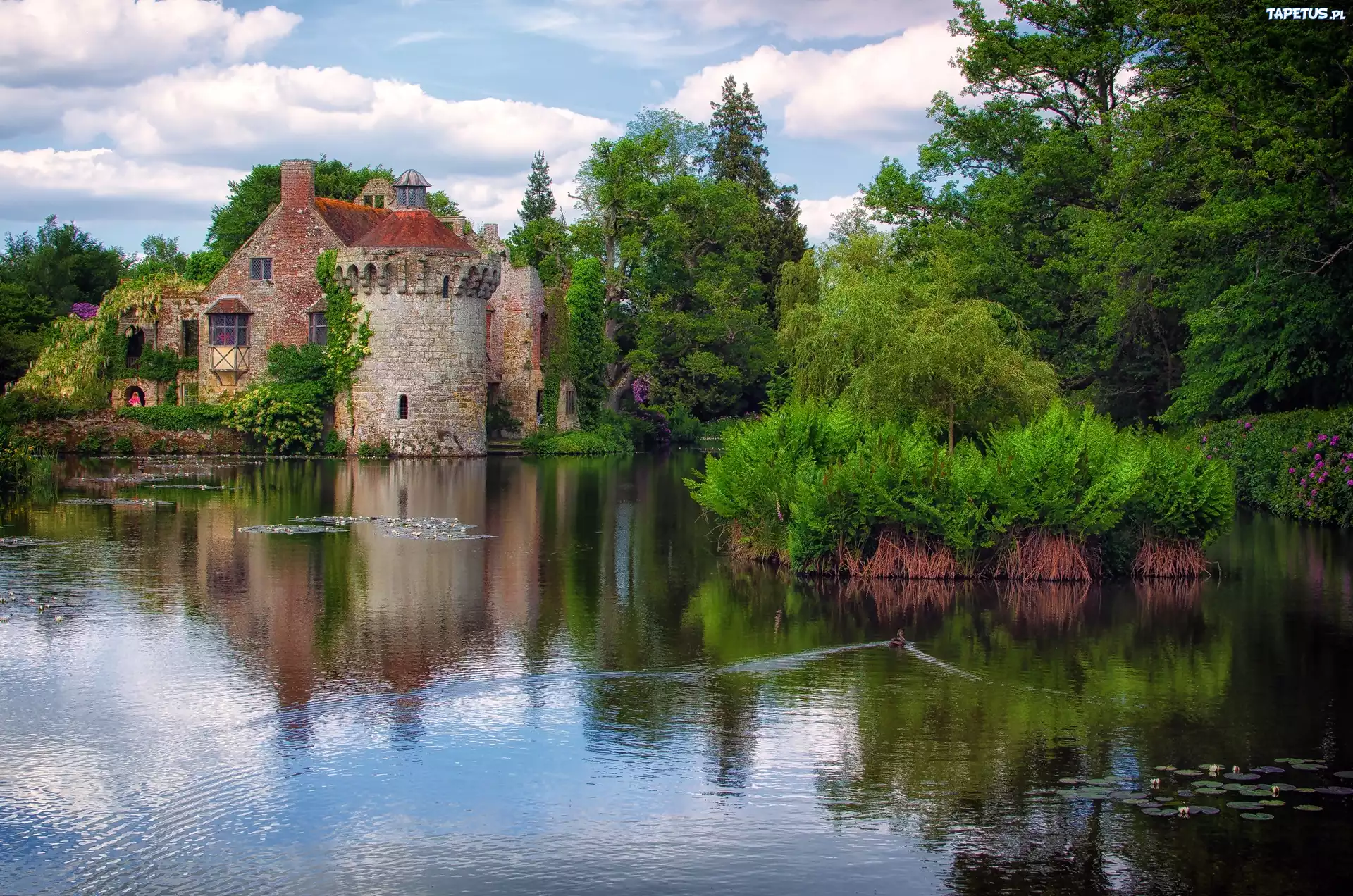 Stary, Zamek, Scotney, Anglia