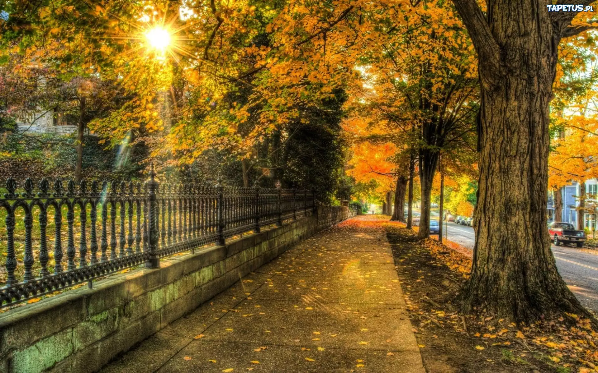 Chodnik, Ogrodzenie, Park