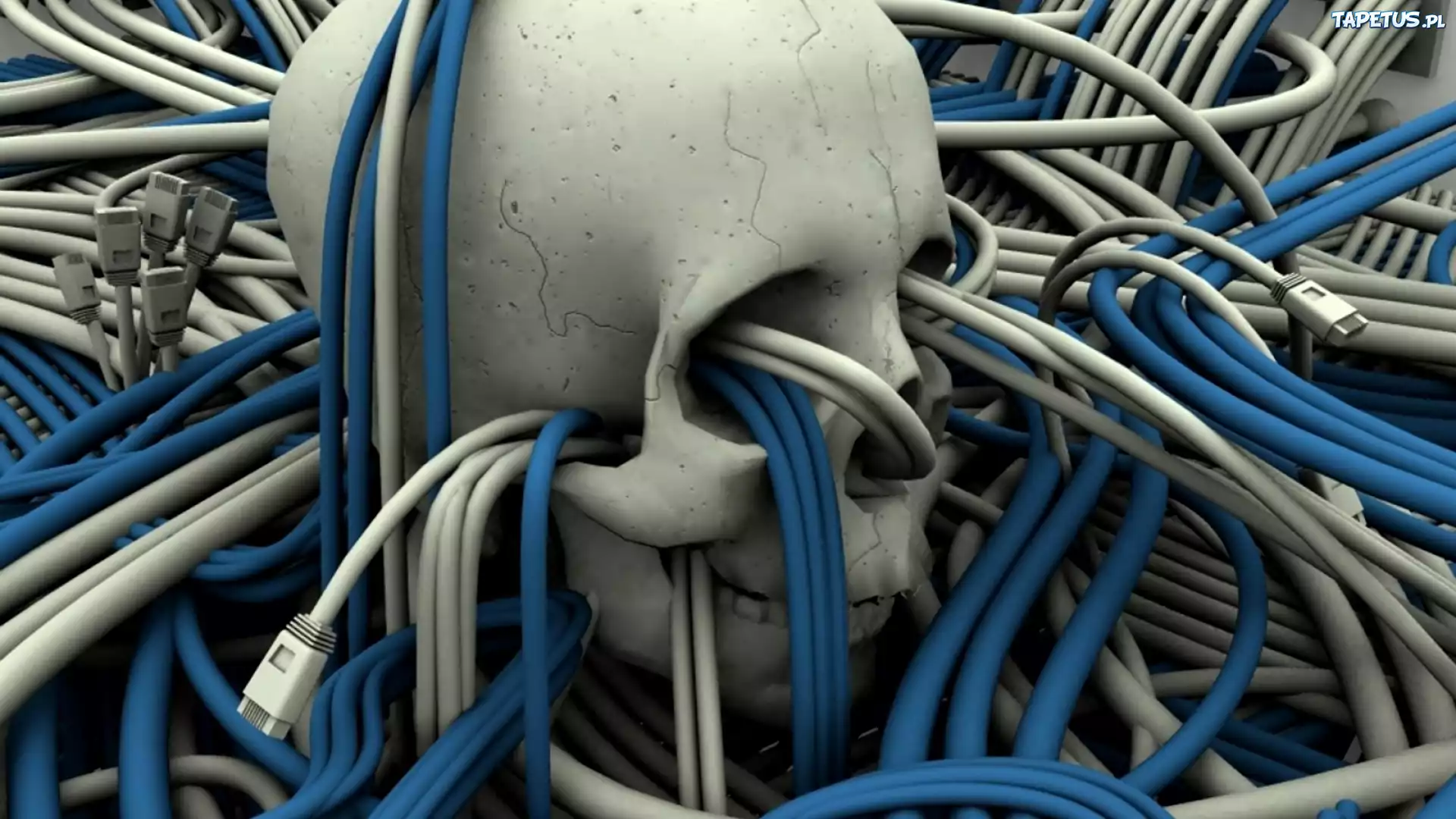 3D, Grafika, Czaszka, Przewody