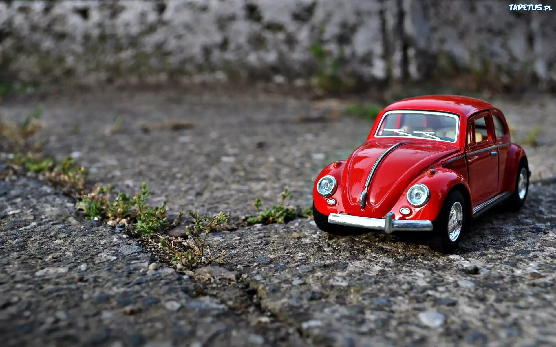 Zabawka, Samochód, Czerwony, Volkswagen Garbus