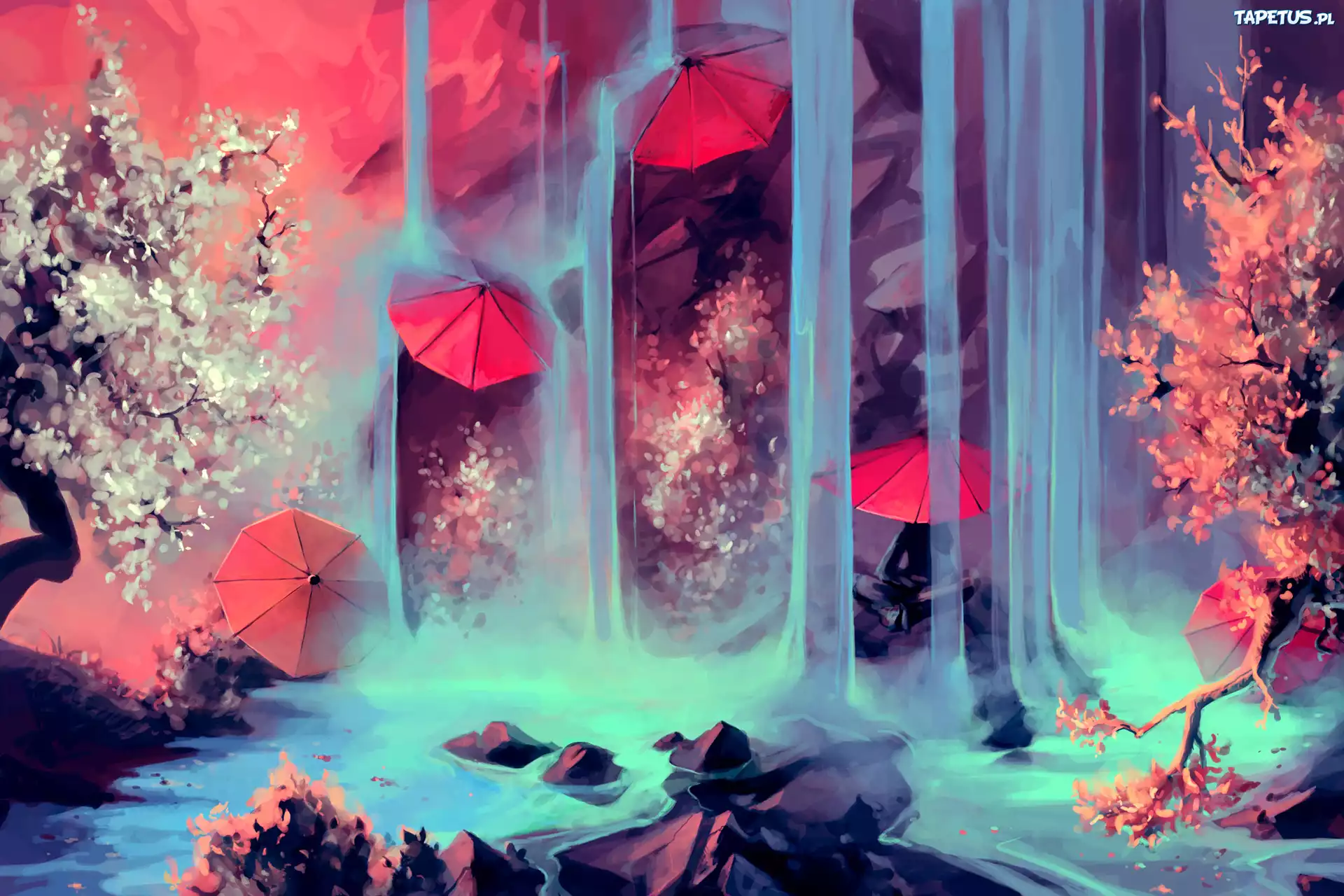 Cyril Rolando, Parasole, Wodospad