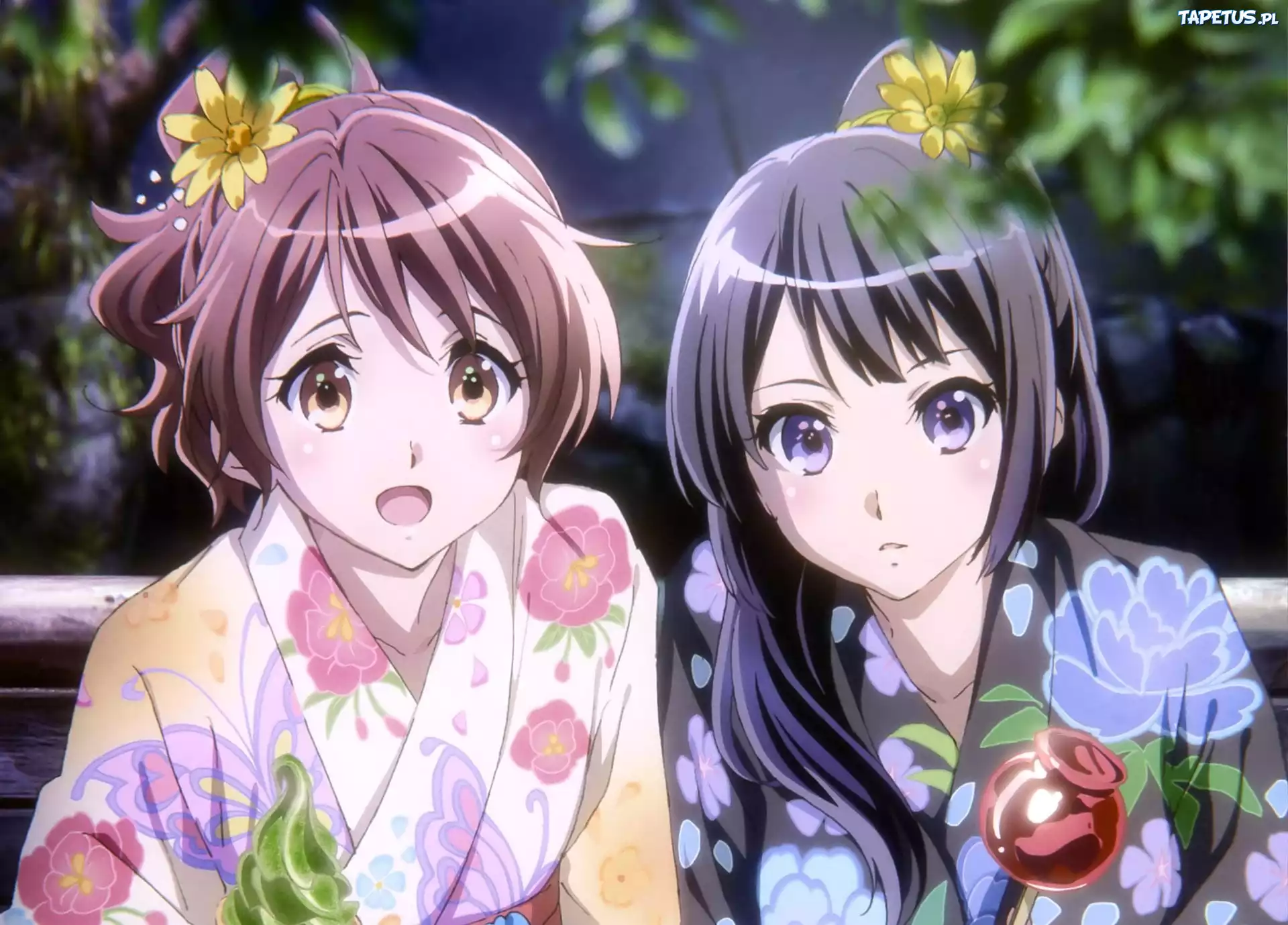 Hibike! Euphonium, Oumae Kumiko, Kousaka Reina, anime