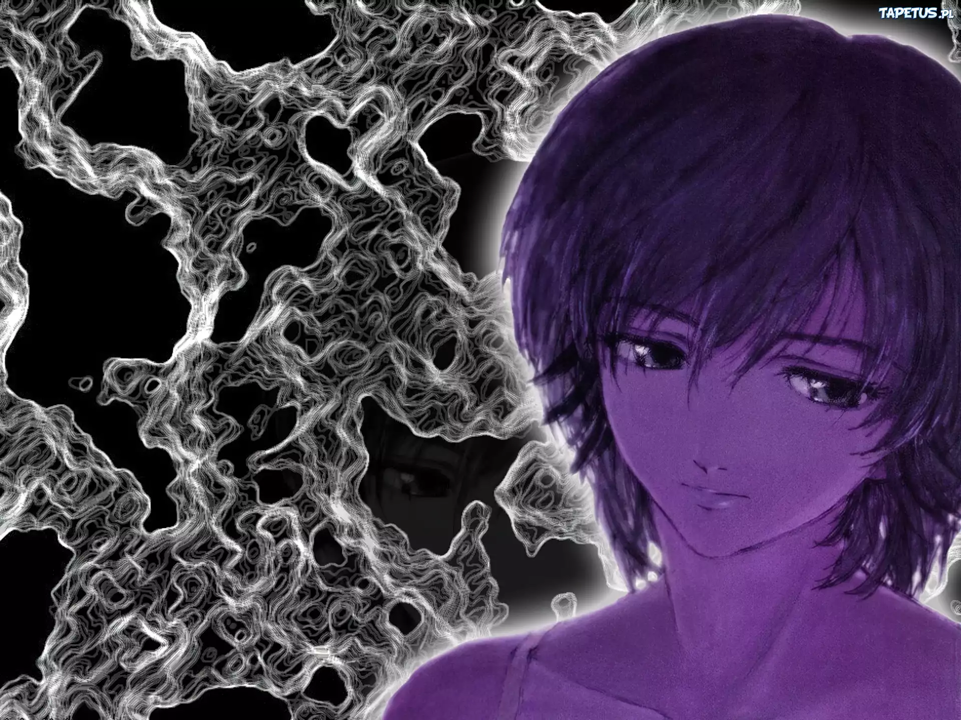 kobieta, twarz, Neon Genesis Evangelion
